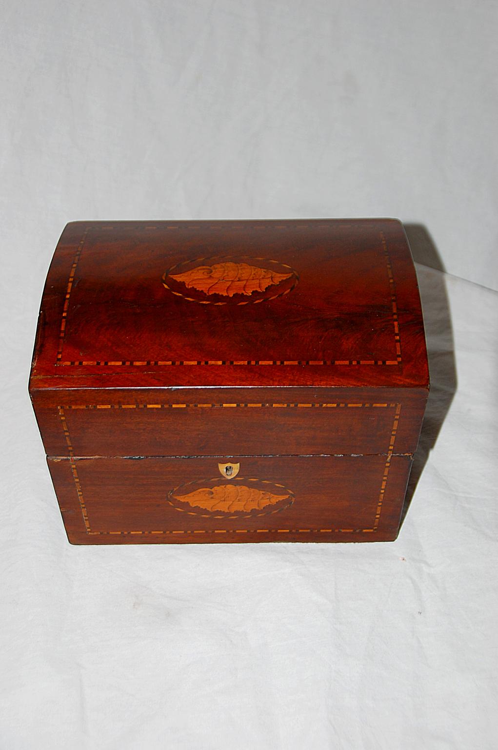 English Georgian domed top liquor box in mahogany with shell inlay to top and front and patterned stringing in boxwood and ebony to three sides and framing the shell inlays. The interior of the box has its original velvet lining and six original