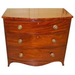 English Georgian Mahogany Bow Front Chest of Three Drawers, Diamond Stringing