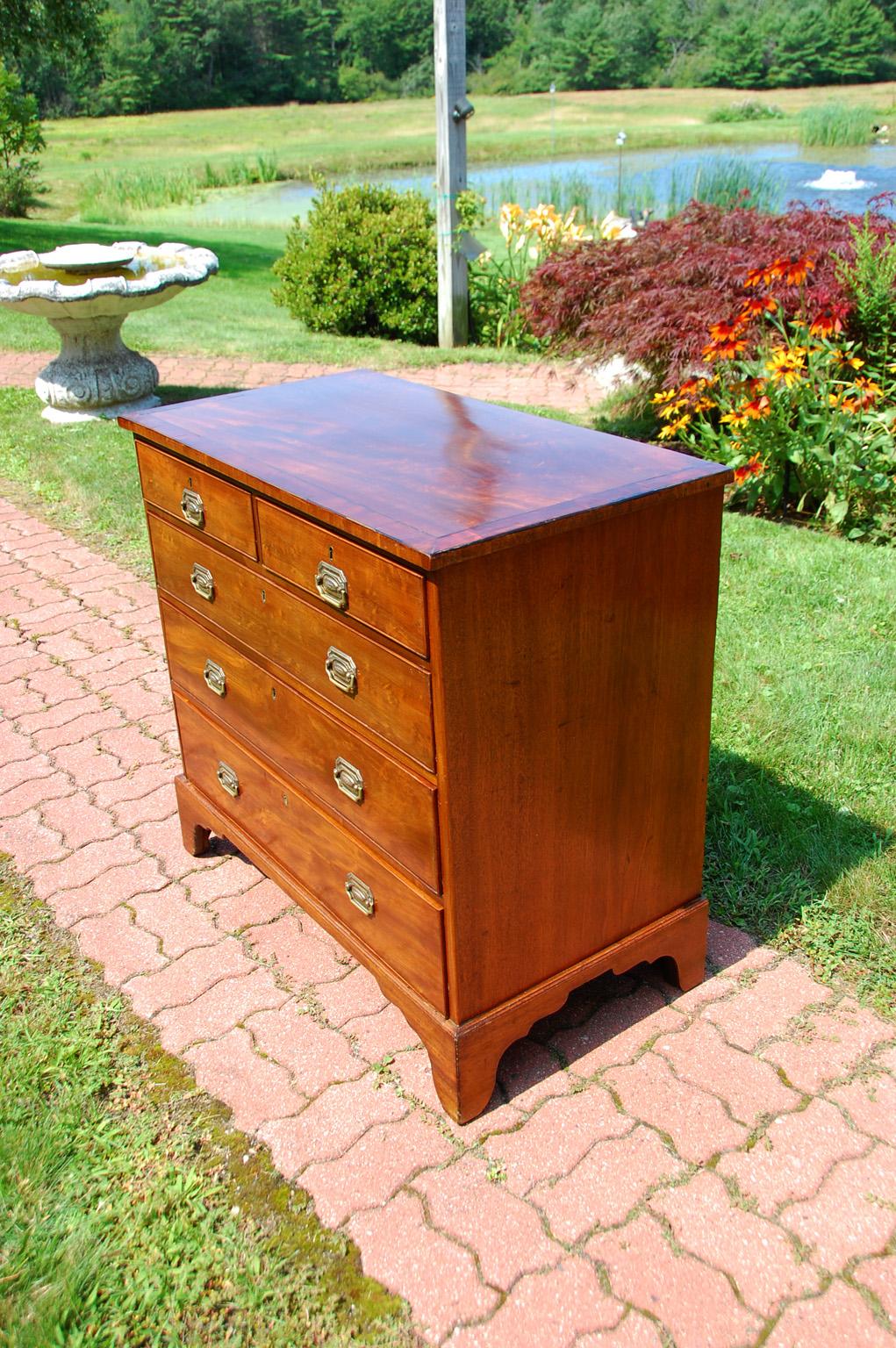 English Georgian mahogany chest of two over three drawers with mahogany crossbanding and ebony stringing to the top. This 37 1/2 inch wide chest has a shaped bracket base, oak drawer linings and remnants of the original old blue drawer lining paper.