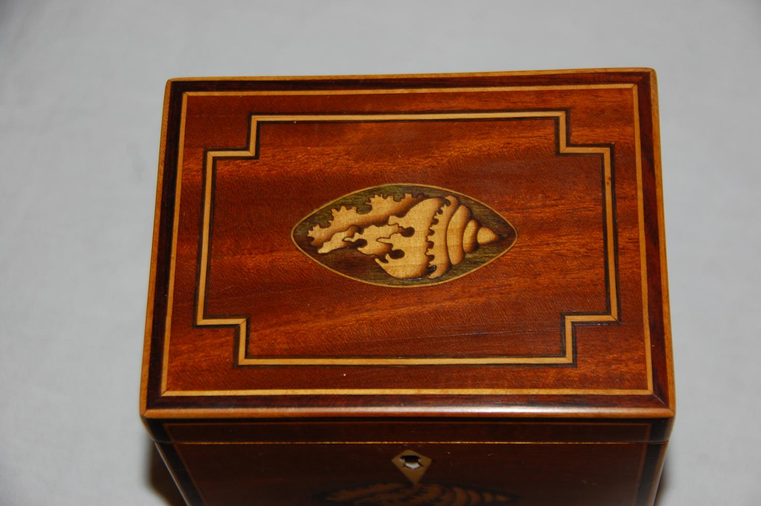 English 18th century Georgian mahogany single teacaddy inlaid with oval sycamore cartouches containing a small shell motif on both top and front surfaces. The boxwood shell on the top is enclosed in delicate line inlay, further ebony and boxwood