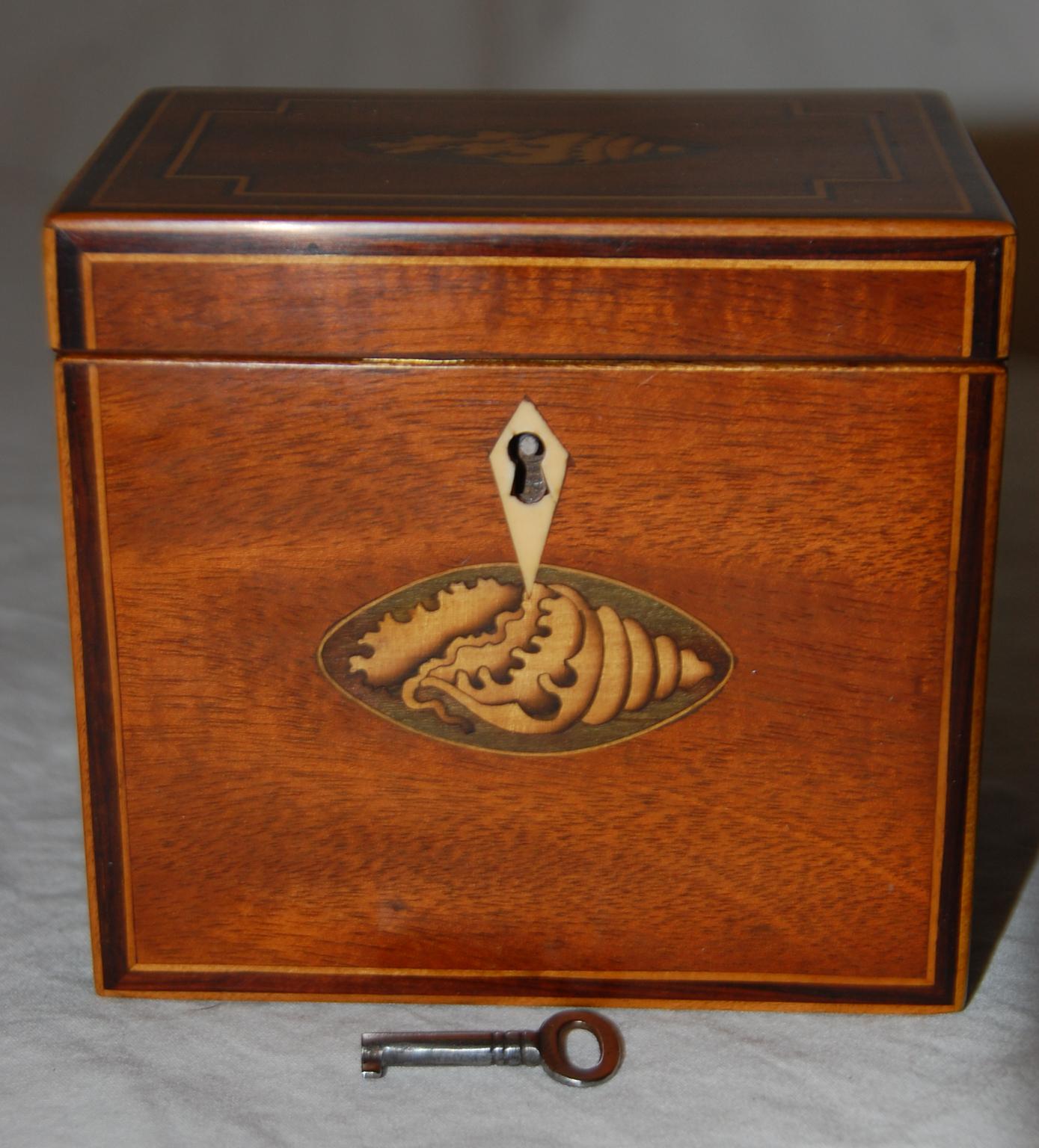 George III English Georgian Mahogany Single Tea Caddy Inlaid Shell Motifs to Top and Front