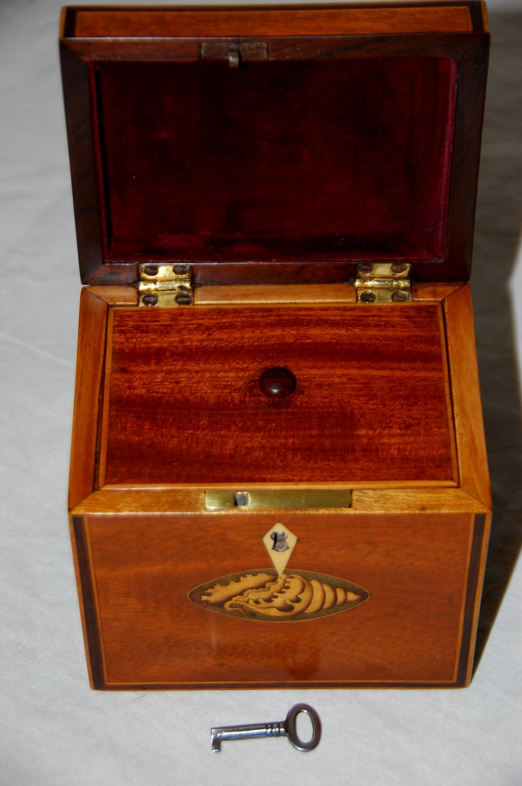 Inlay English Georgian Mahogany Single Tea Caddy Inlaid Shell Motifs to Top and Front