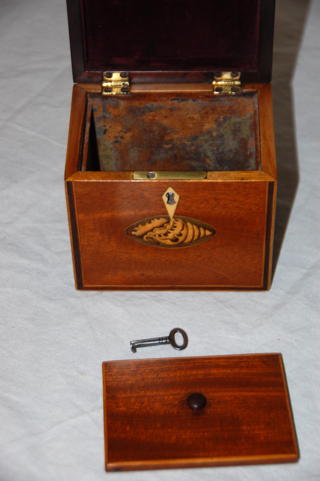 English Georgian Mahogany Single Tea Caddy Inlaid Shell Motifs to Top and Front In Good Condition In Wells, ME