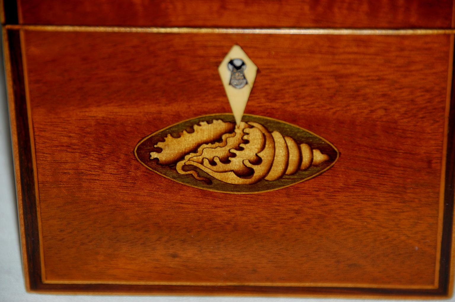 English Georgian Mahogany Single Tea Caddy Inlaid Shell Motifs to Top and Front 1