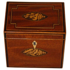 English Georgian Mahogany Single Tea Caddy Inlaid Shell Motifs to Top and Front