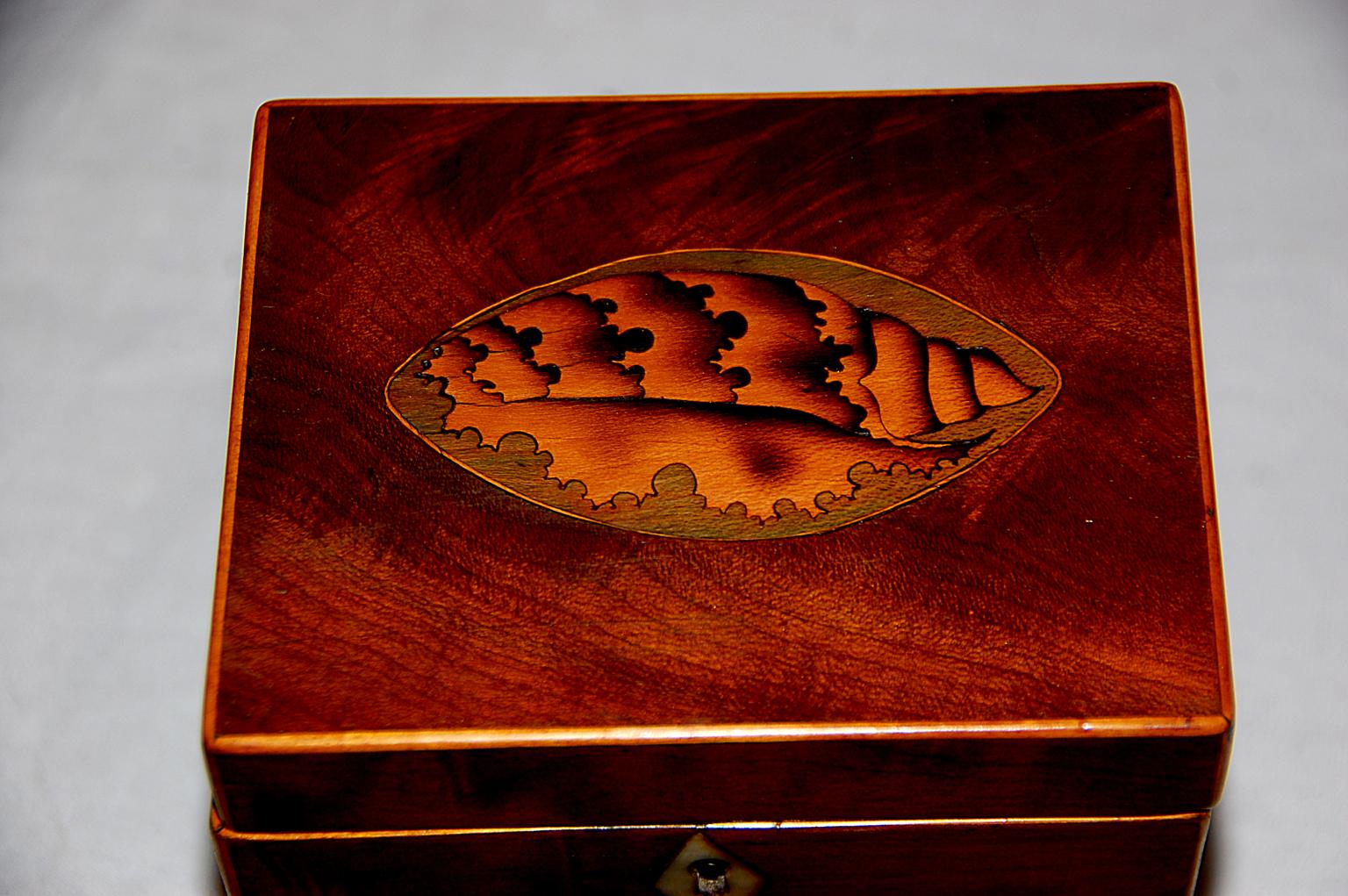 English 18th century Georgian mahogany single teacaddy with large shell inlaid in an oval sycamore cartouche on both the top and front. The shaded shells are in boxwood, the sycamore ovals are enclosed with delicate boxwood stringing; satinwood