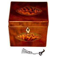 English Georgian Mahogany Single Tea Caddy Inlaid with Large Shell Motifs