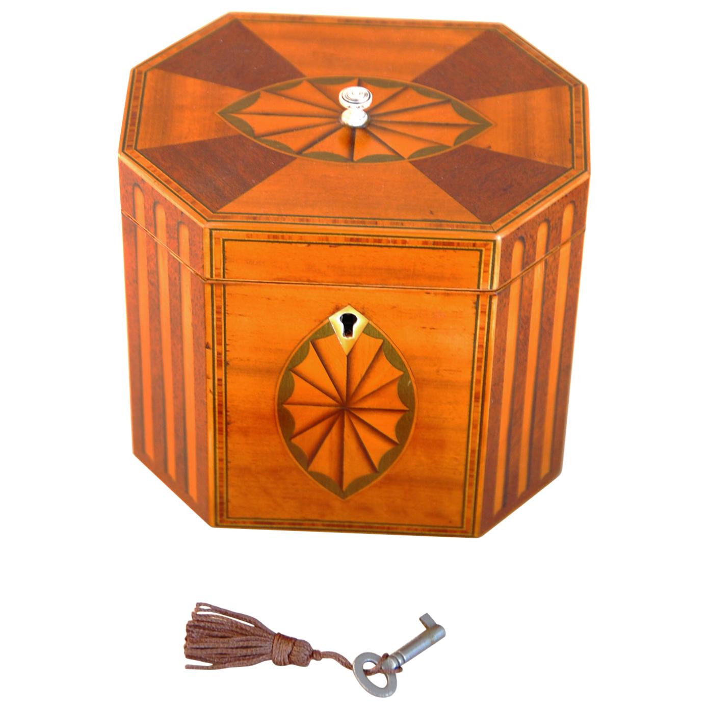 English Georgian Octagonal Single Tea Caddy Inlaid Fan and Columns