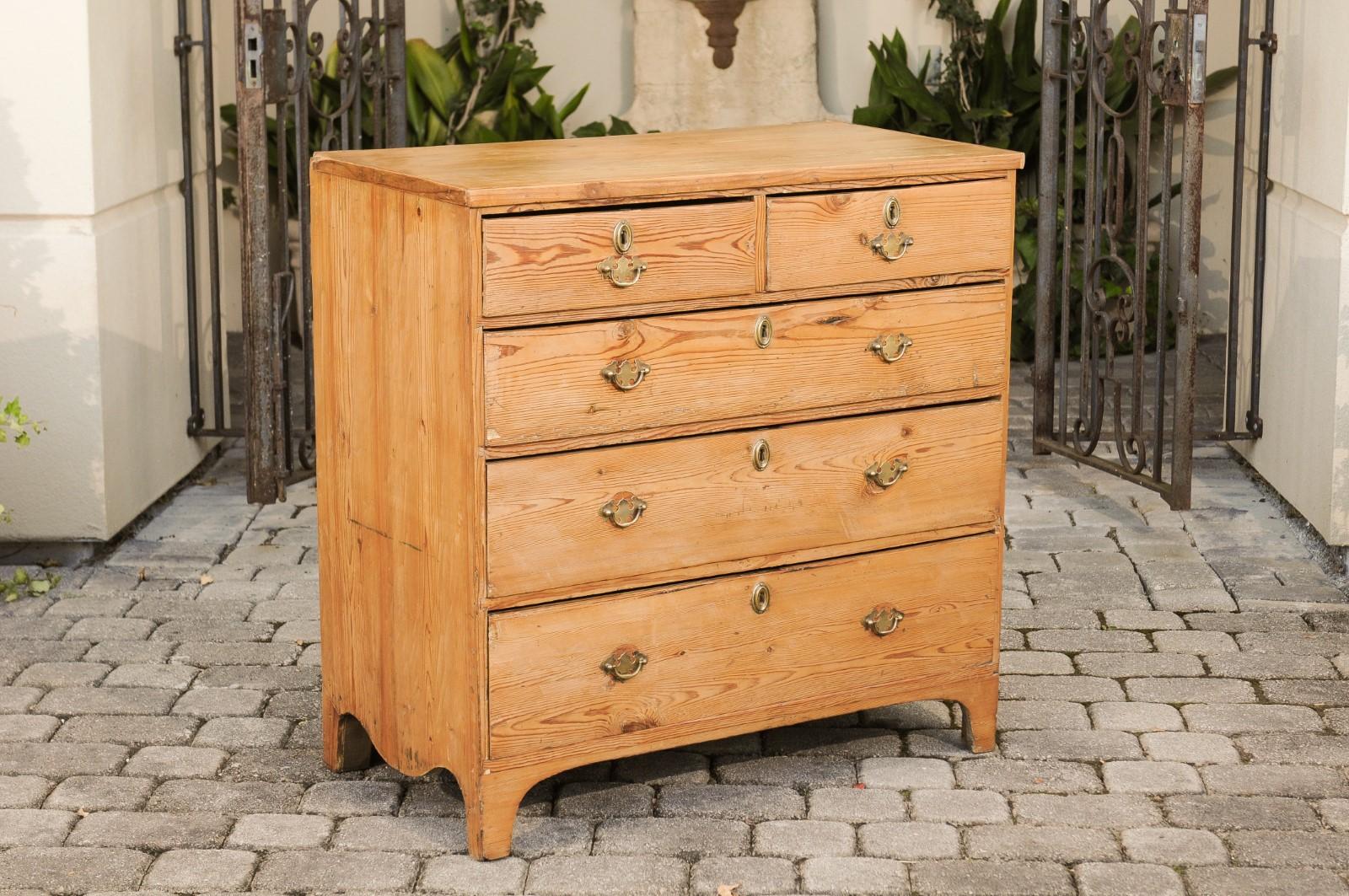 English Georgian Period 1820s Pine Five-Drawer Chest with Arched Skirt (19. Jahrhundert)