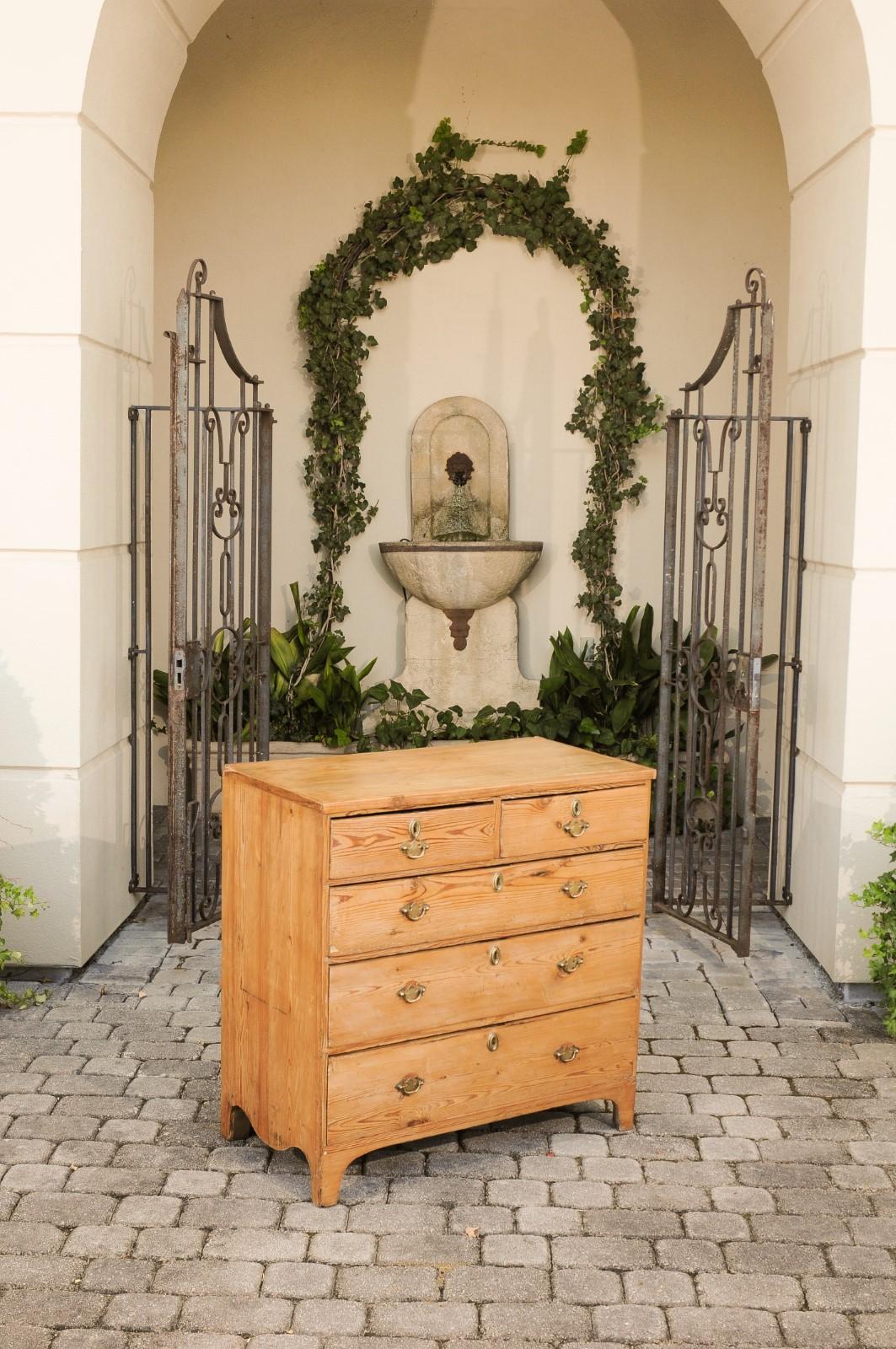 English Georgian Period 1820s Pine Five-Drawer Chest with Arched Skirt (Kiefernholz)