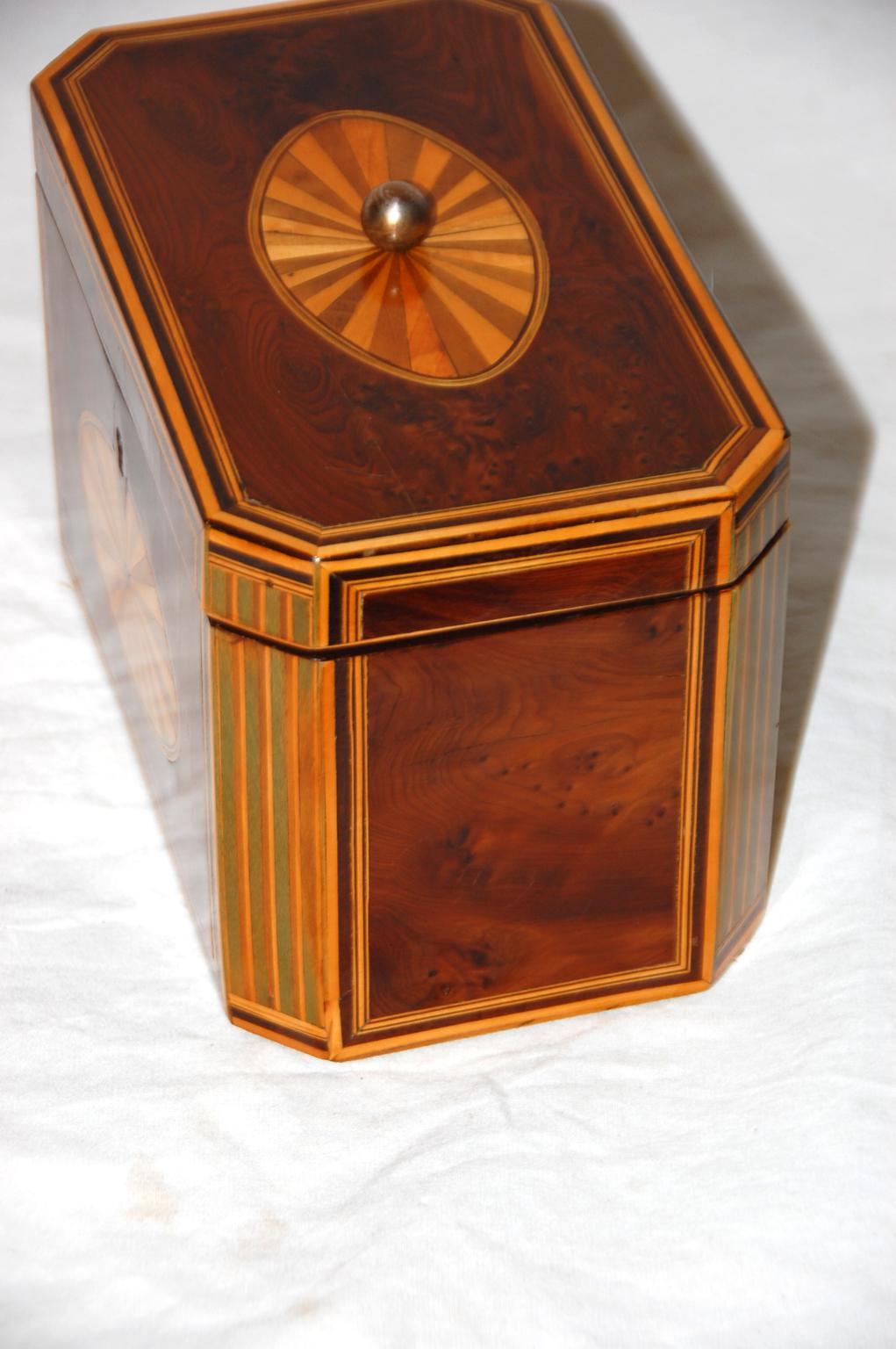 English Georgian Period Yew Wood Octagonal Tea Caddy with Fan and Column Inlays For Sale 3