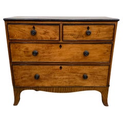 English Georgian Satinwood Chest with Ebonized Trim