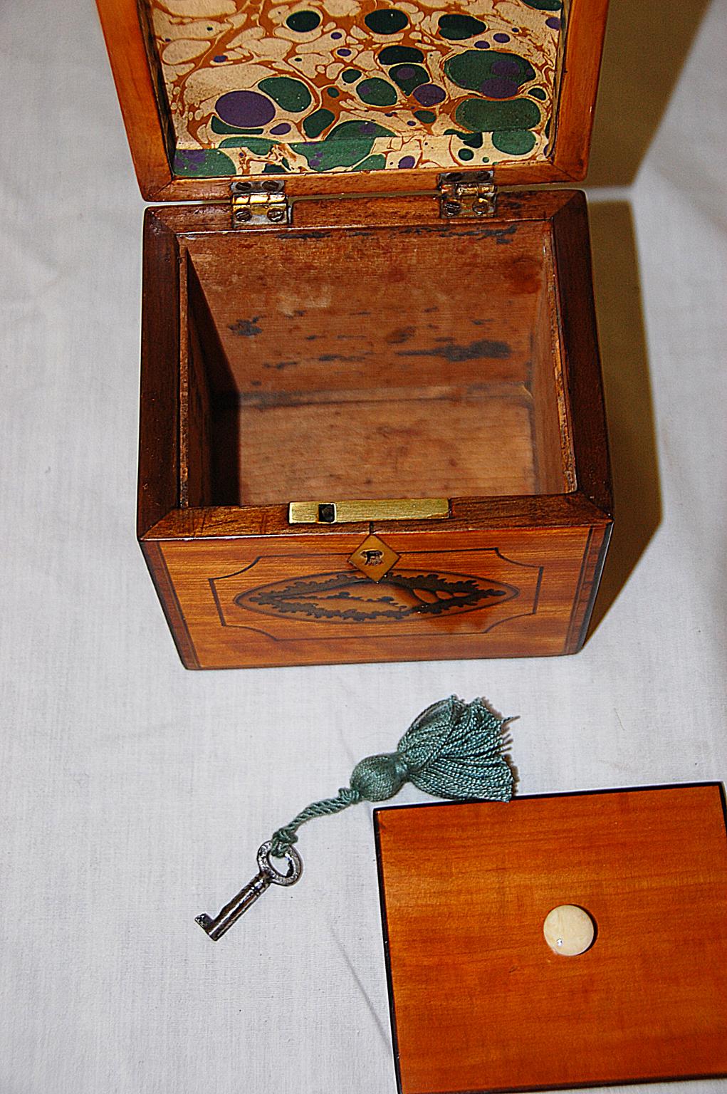 English Georgian Satinwood Single Tea Caddy with Inlaid Shell Motifs 1