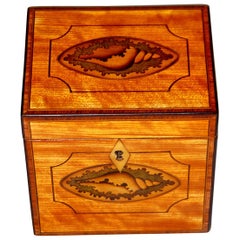 English Georgian Satinwood Single Tea Caddy with Inlaid Shell Motifs