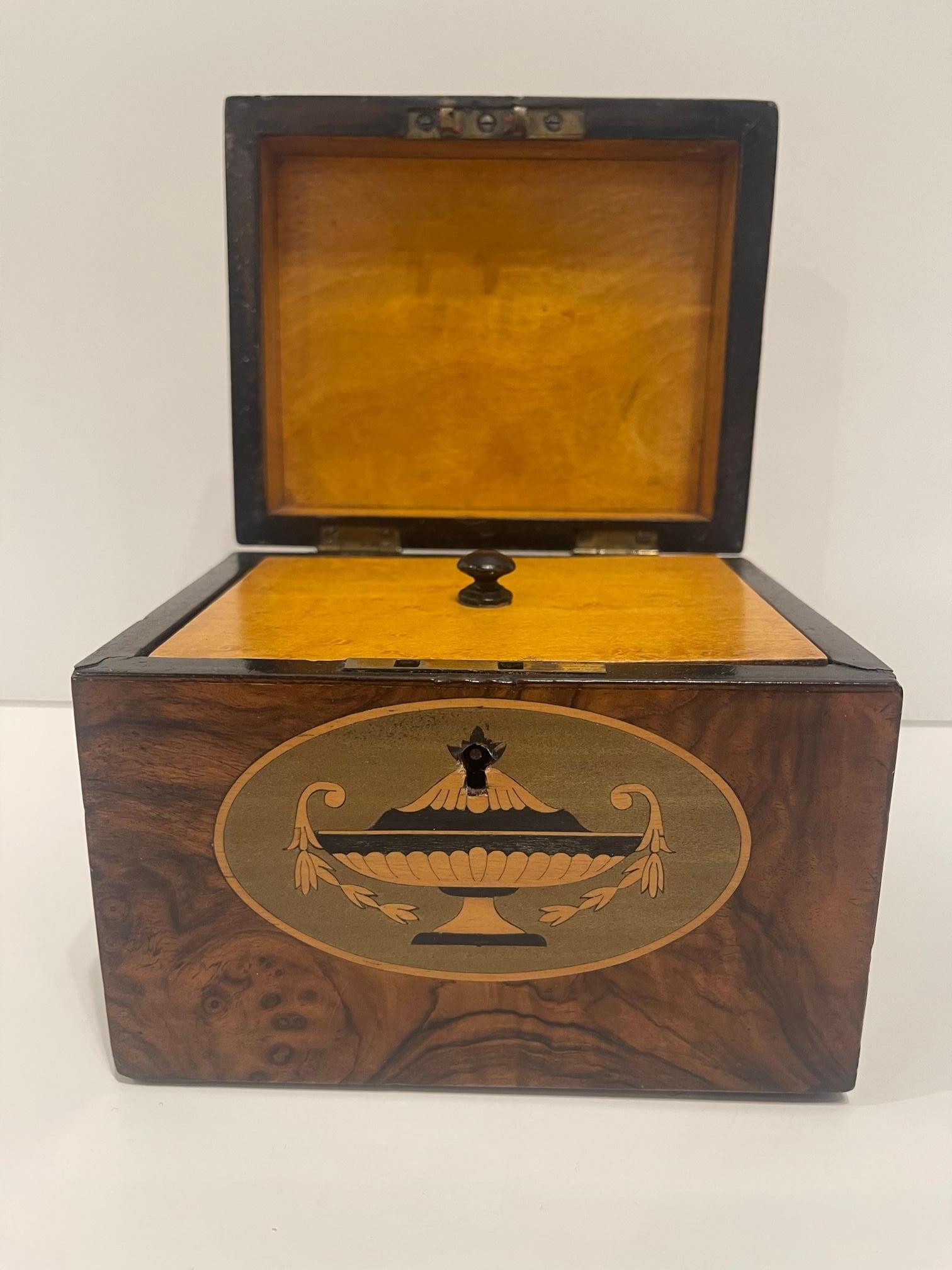 English Georgian Tea Caddy with Inlay and Interior Lid, 19th Century For Sale 4