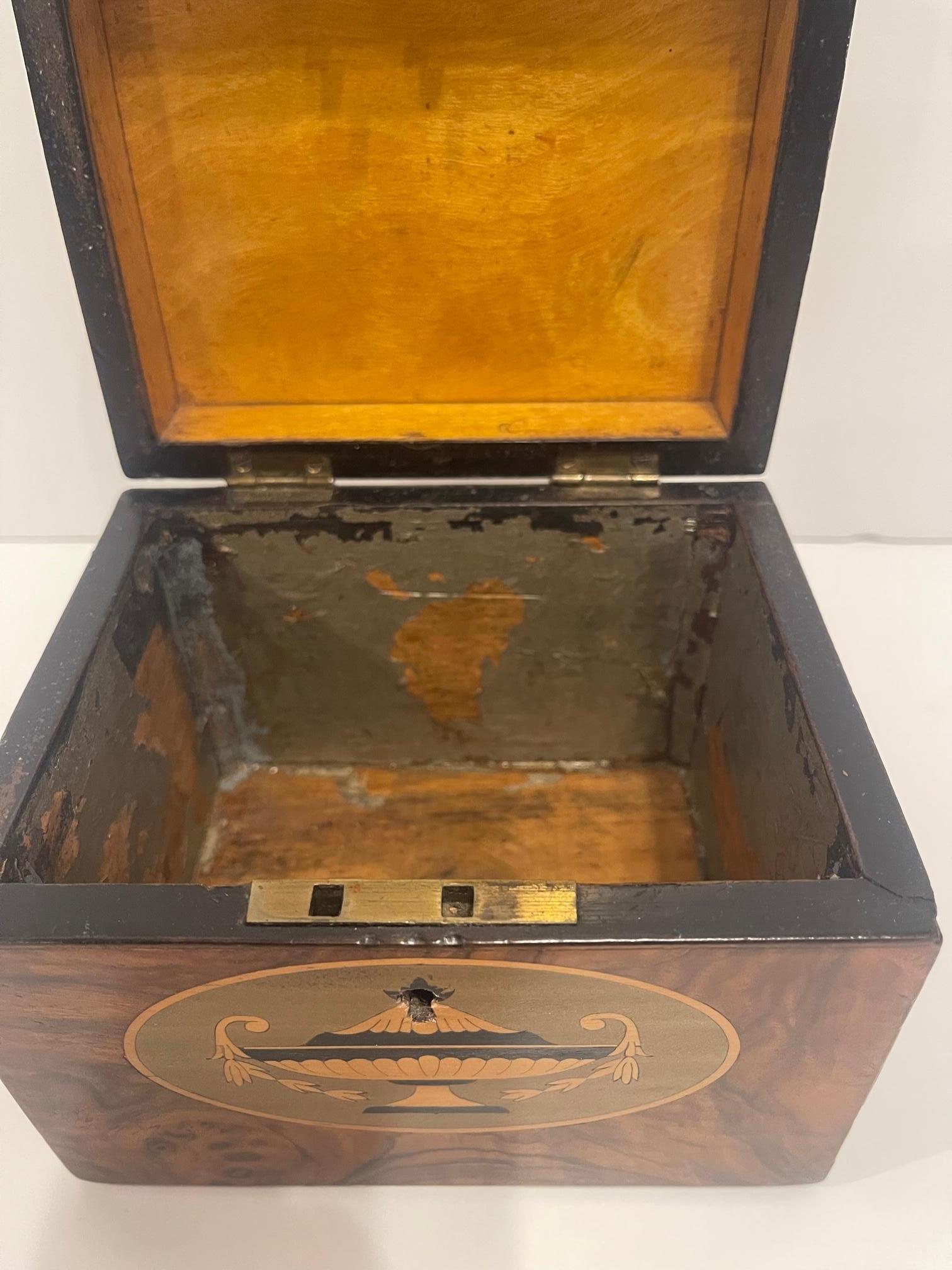 English Georgian Tea Caddy with Inlay and Interior Lid, 19th Century For Sale 5