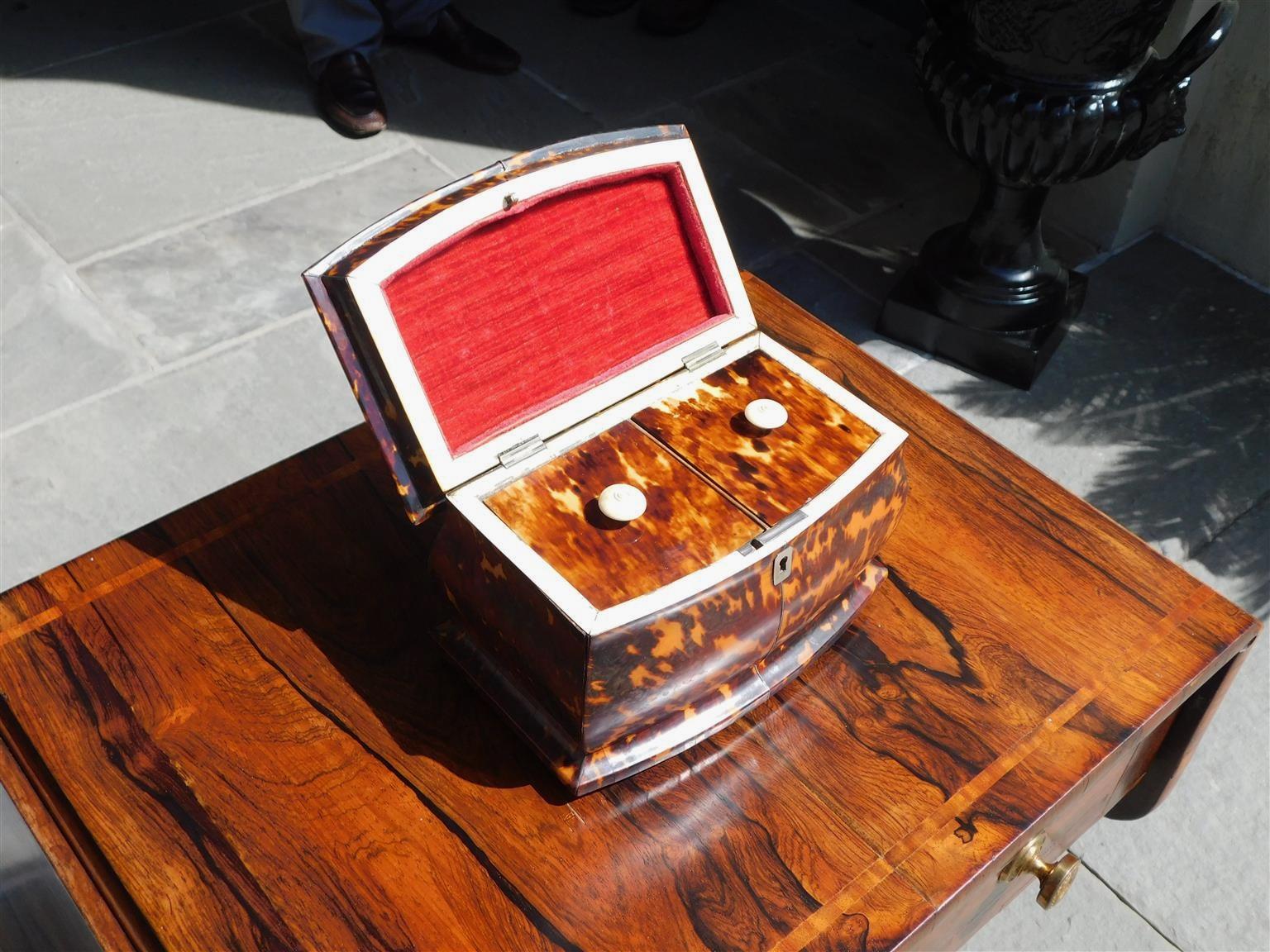 English Georgian Tortoise Shell Hinged Tea Caddy with Bone Ball Feet, C. 1800 1