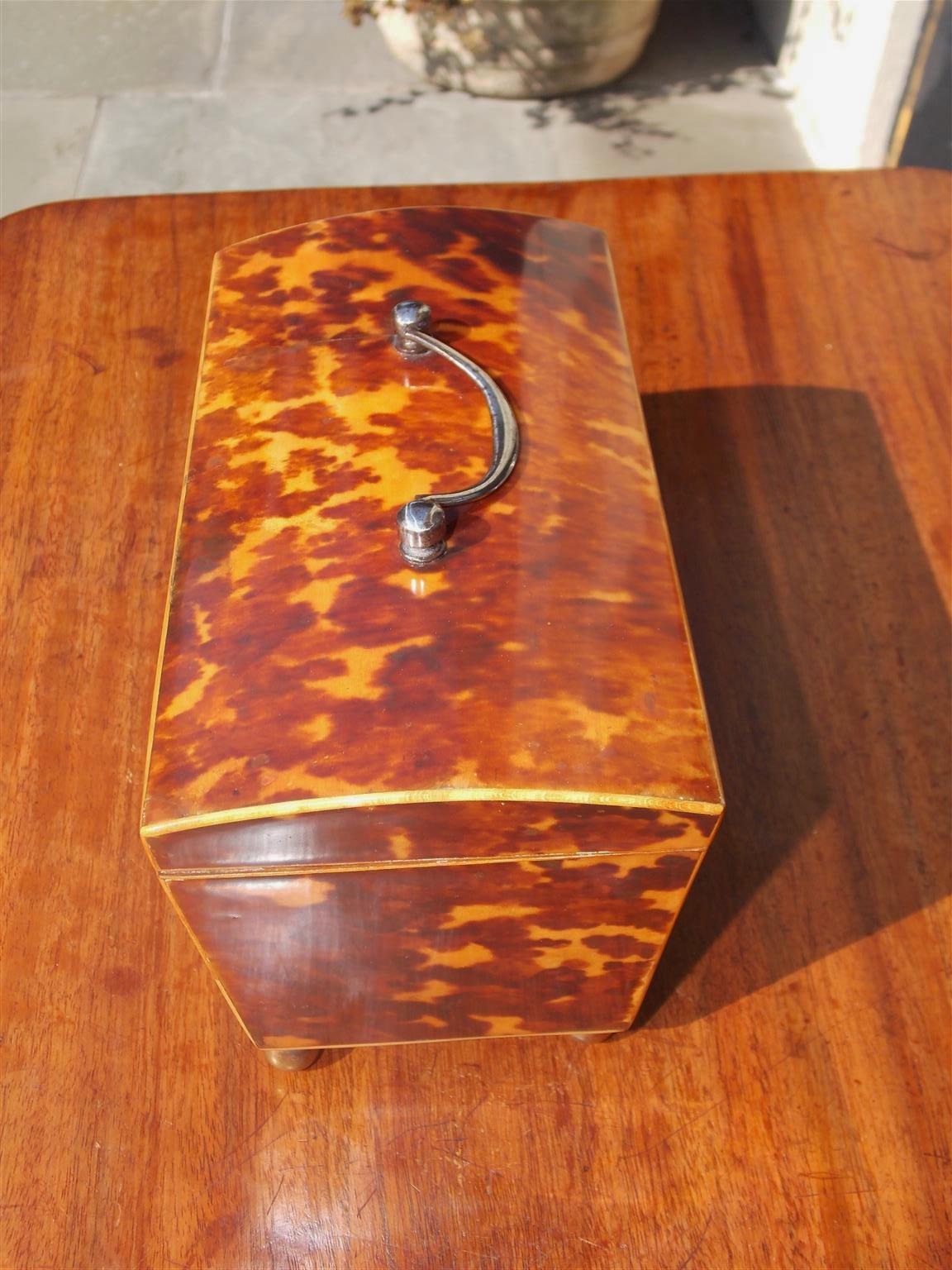 English Georgian Tortoise Shell Hinged Tea Caddy with Brass Ball Feet, C. 1810 In Excellent Condition In Hollywood, SC