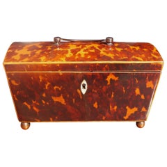 English Georgian Tortoise Shell Hinged Tea Caddy with Brass Ball Feet, C. 1810