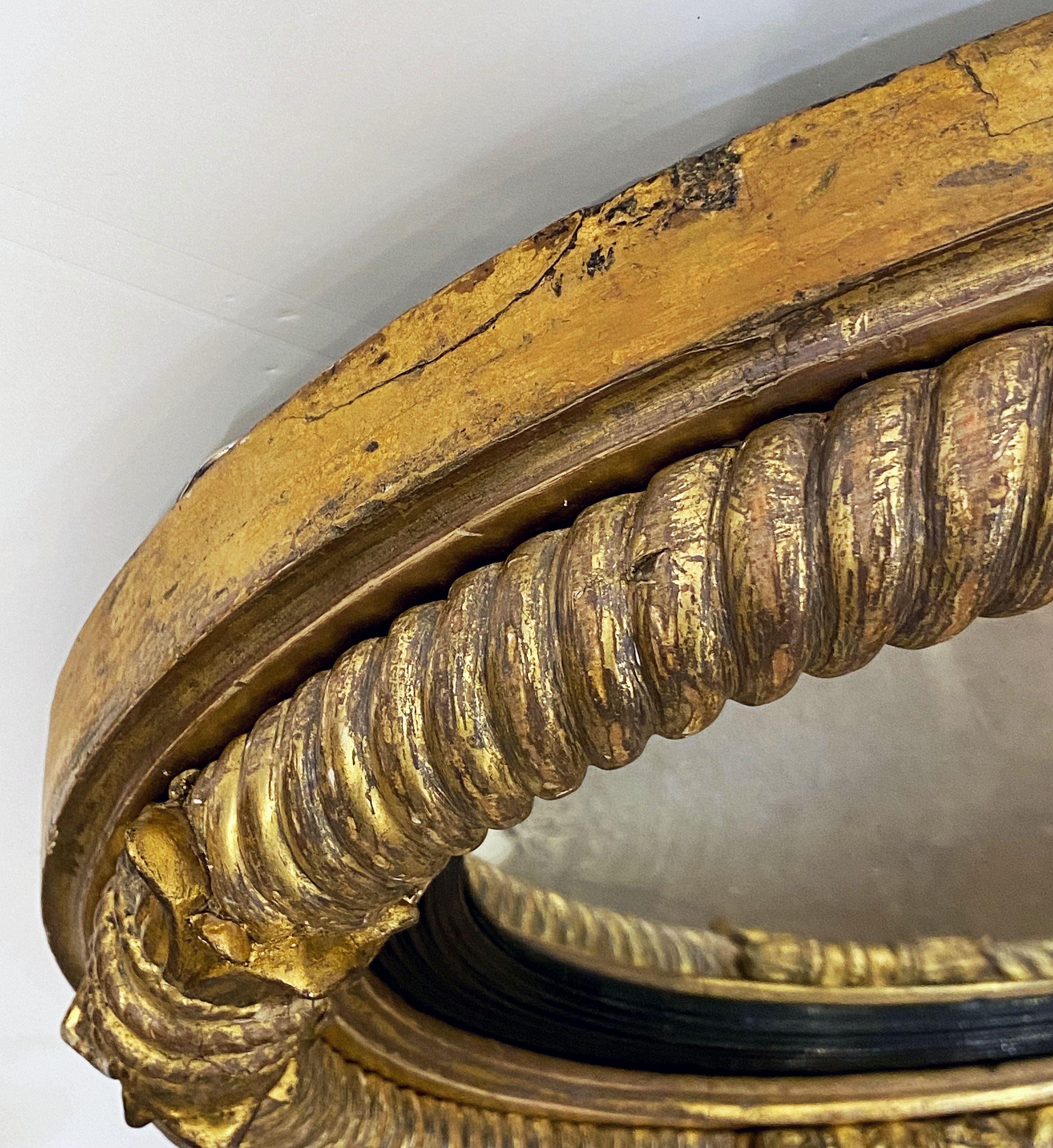 Miroir anglais convexe doré et ébène de l'époque Régence en vente 6