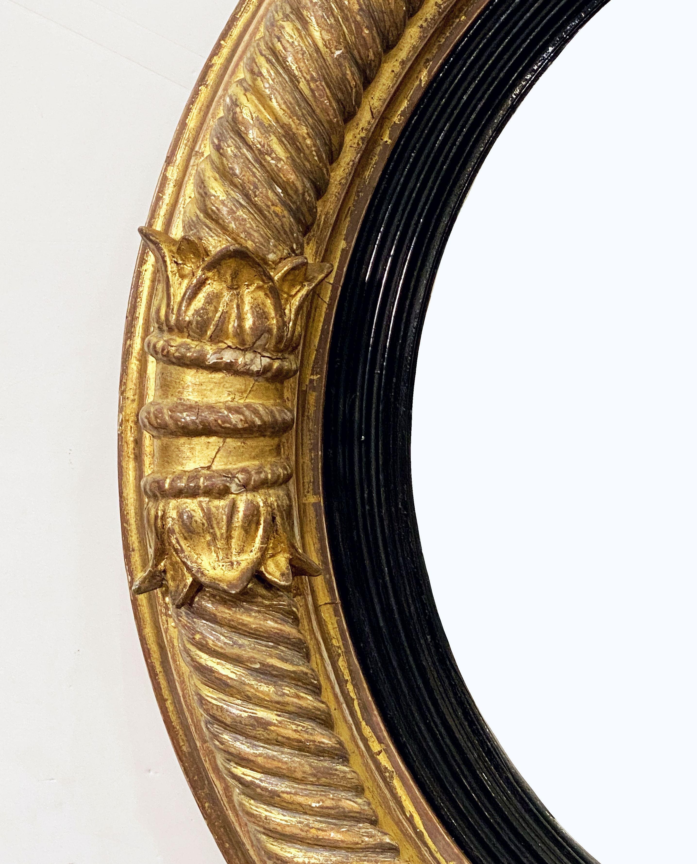 English Gilt and Ebony Convex Mirror from the Regency Era (Diameter 21 1/4) For Sale 1