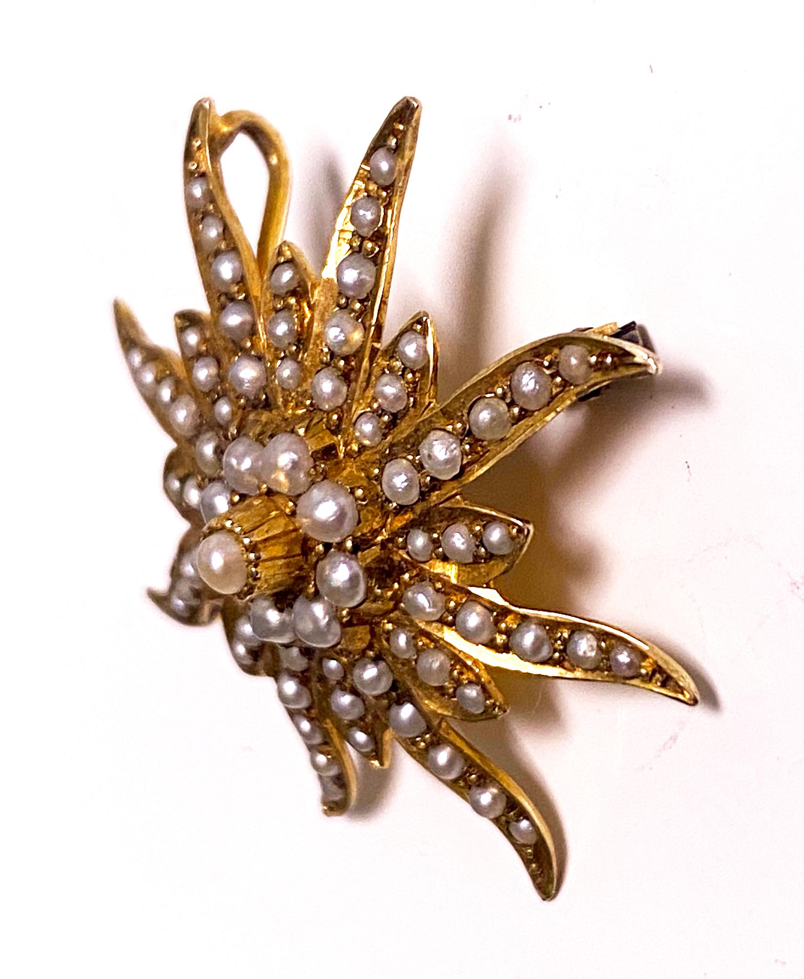 Englisch Gold Perle Starburst Brosche Anhänger Birmingham 1911 (Cabochon)