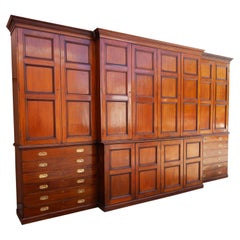 English Grand Library Cabinet Bookcase