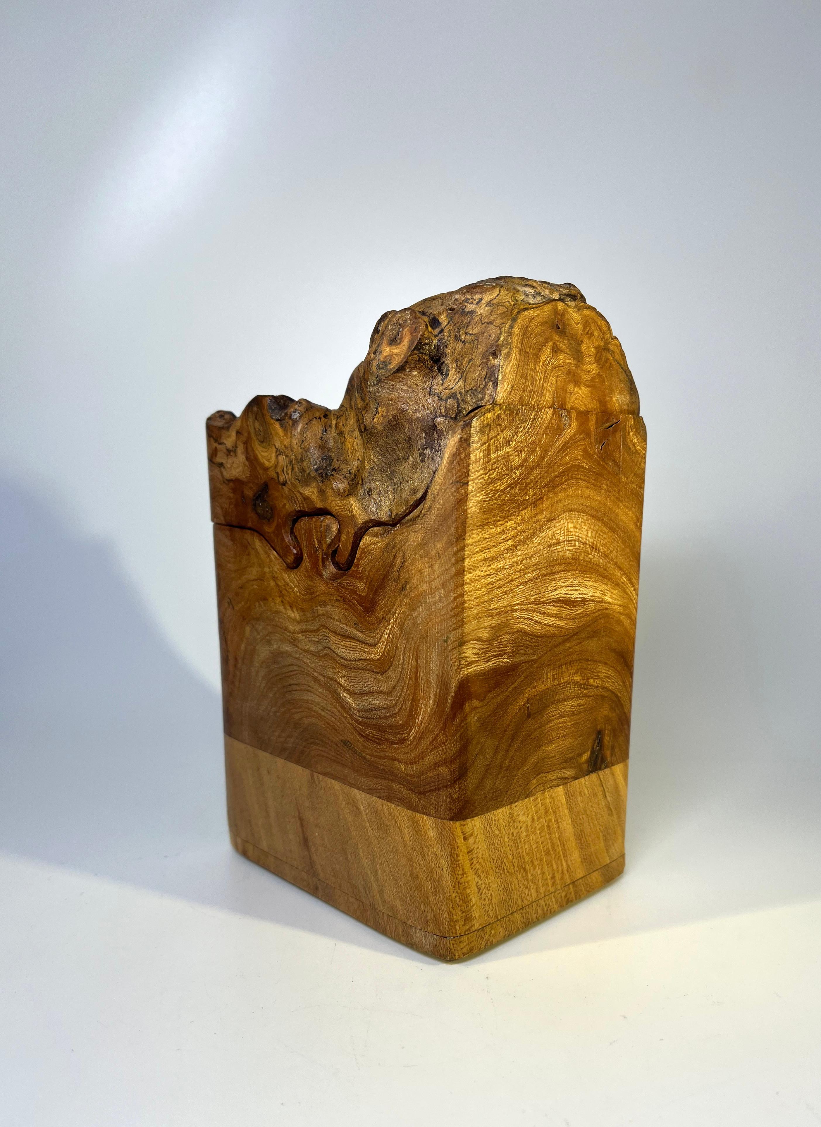 English Hand Carved, Dark Burl Elm Wood Desk Box with Hidden Compartments 4