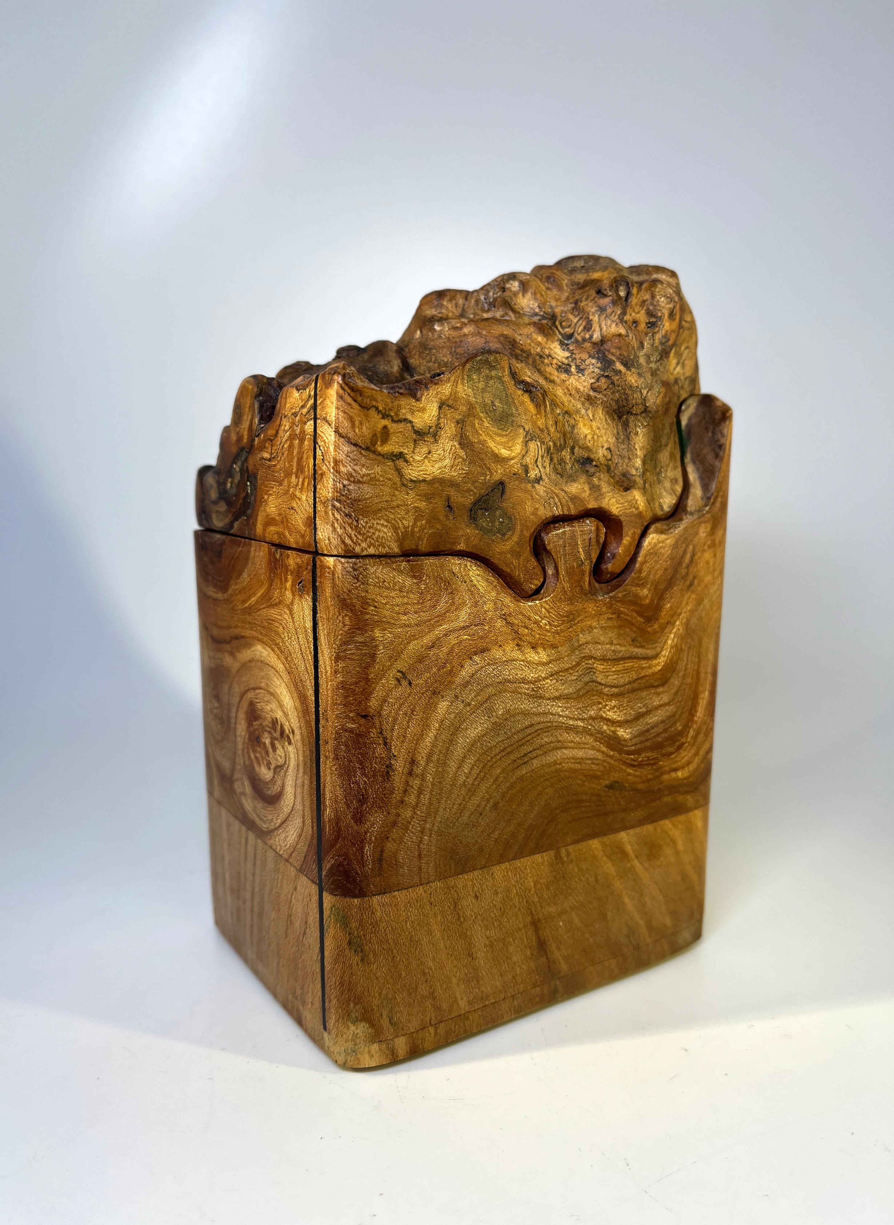 English Hand Carved, Dark Burl Elm Wood Desk Box with Hidden Compartments 5