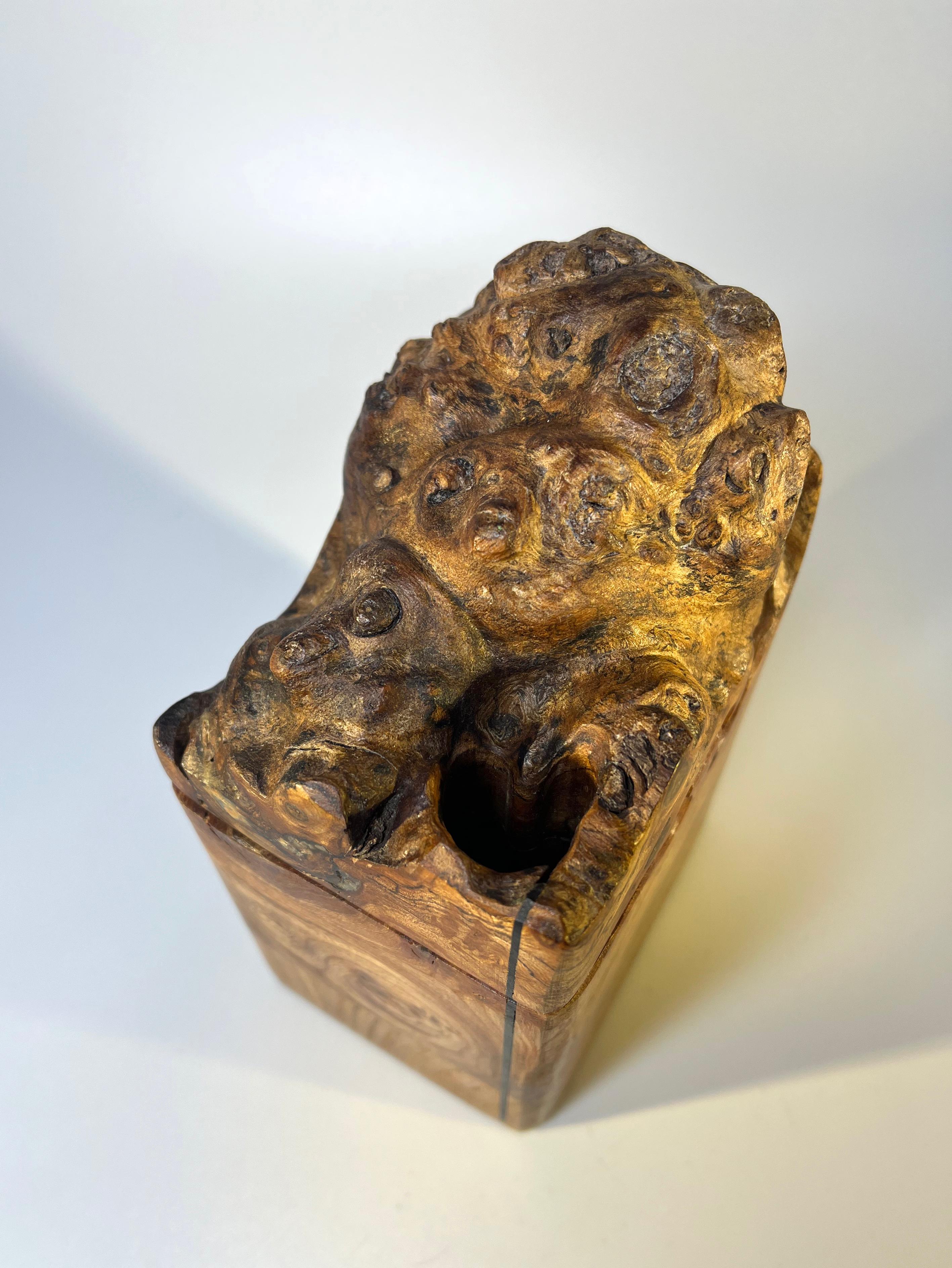 English Hand Carved, Dark Burl Elm Wood Desk Box with Hidden Compartments 2