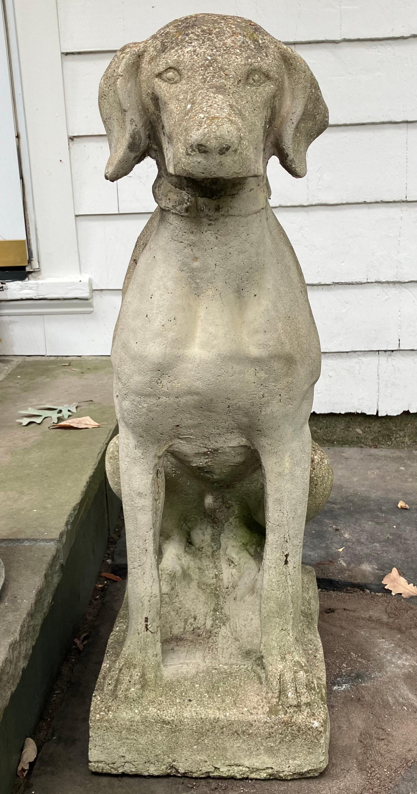 Scultura di cane da caccia inglese. Bellissimo cane da caccia vintage a grandezza naturale su basamento corto, perfetto per l'ingresso o come cane da guardia in giardino. Inghilterra, anni '20 

Dimensioni: 22