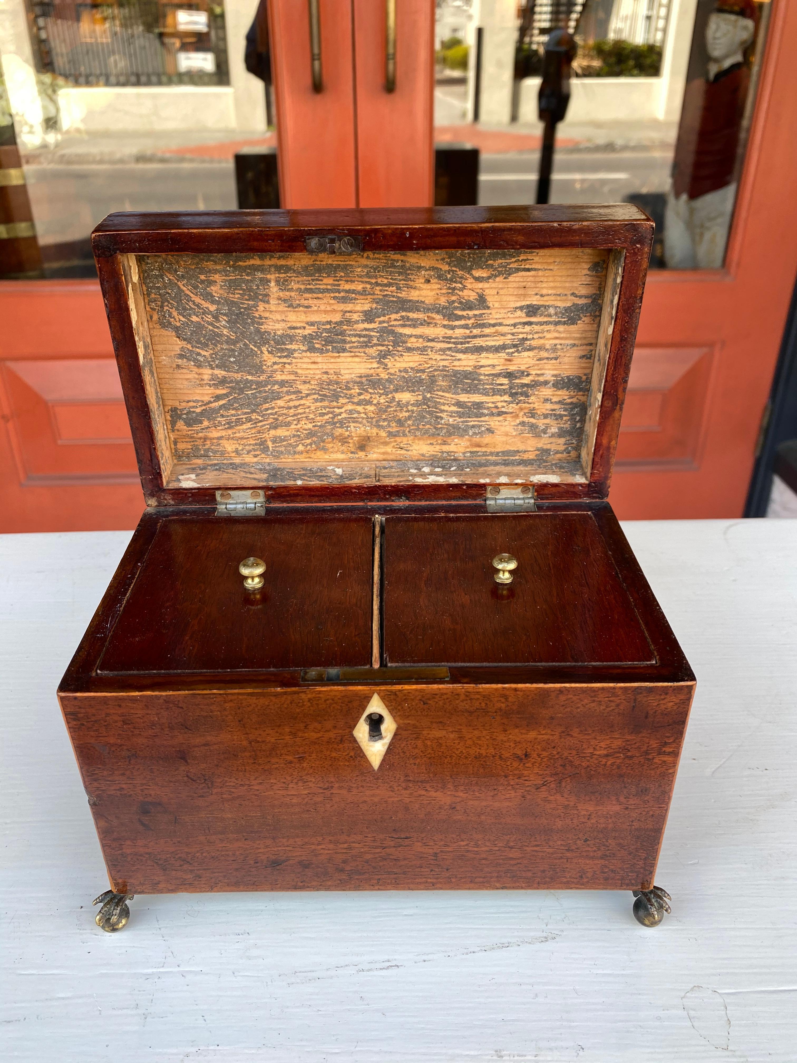 English inlaid tea caddy with brass paw feet  In Good Condition For Sale In Charleston, SC