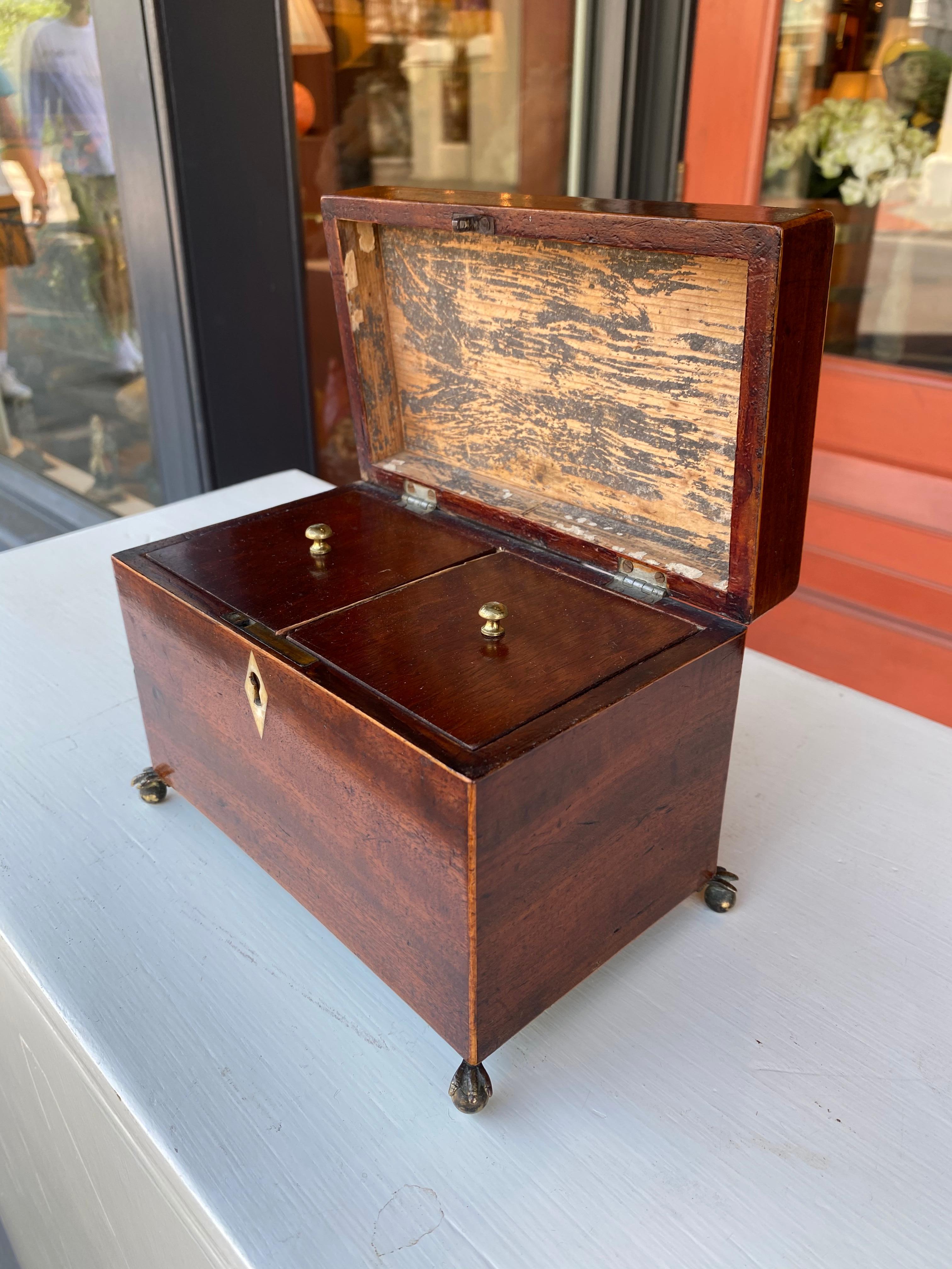 Late 18th Century English inlaid tea caddy with brass paw feet  For Sale