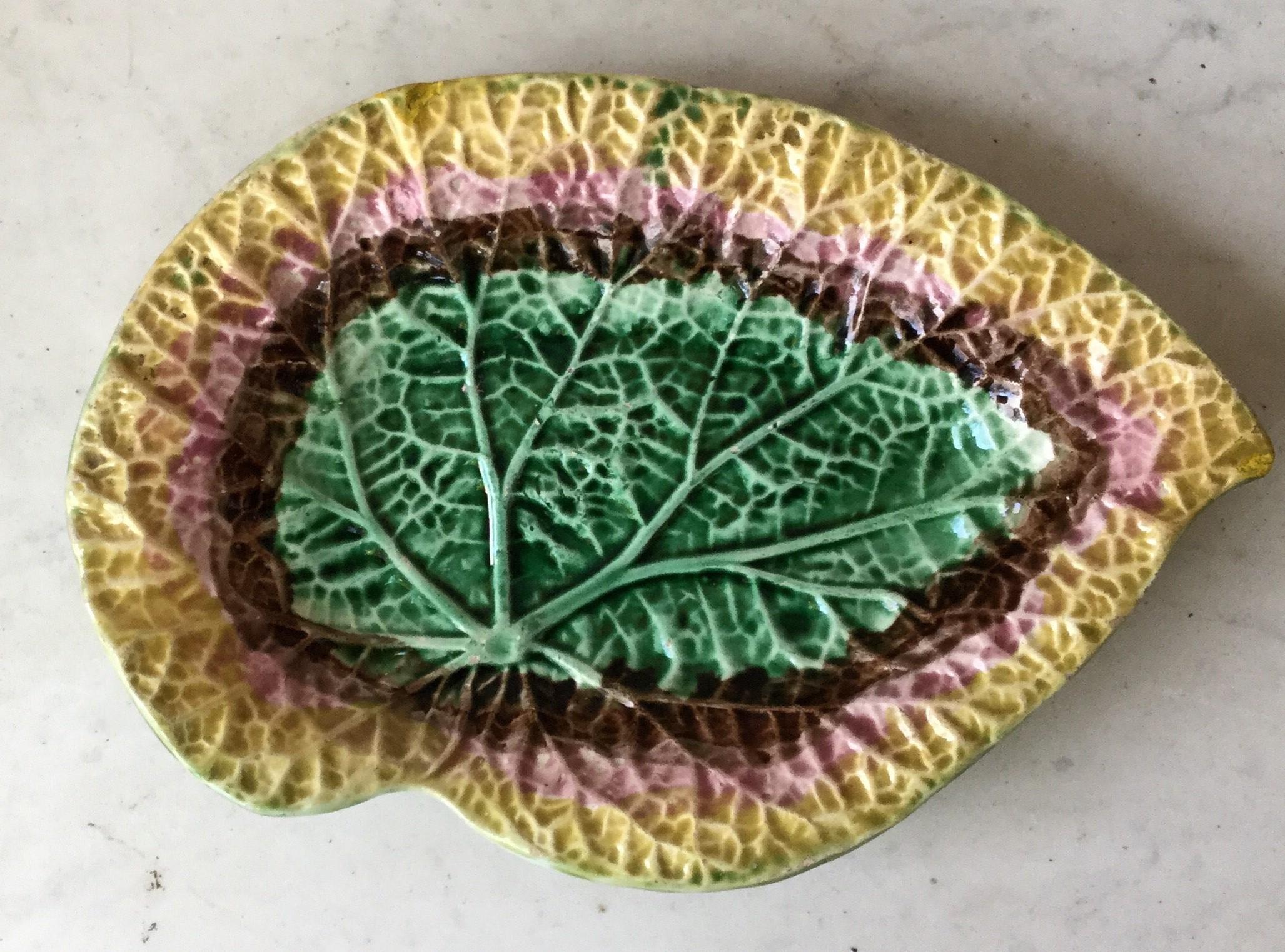 English large Majolica begonia leaf, circa 1880.