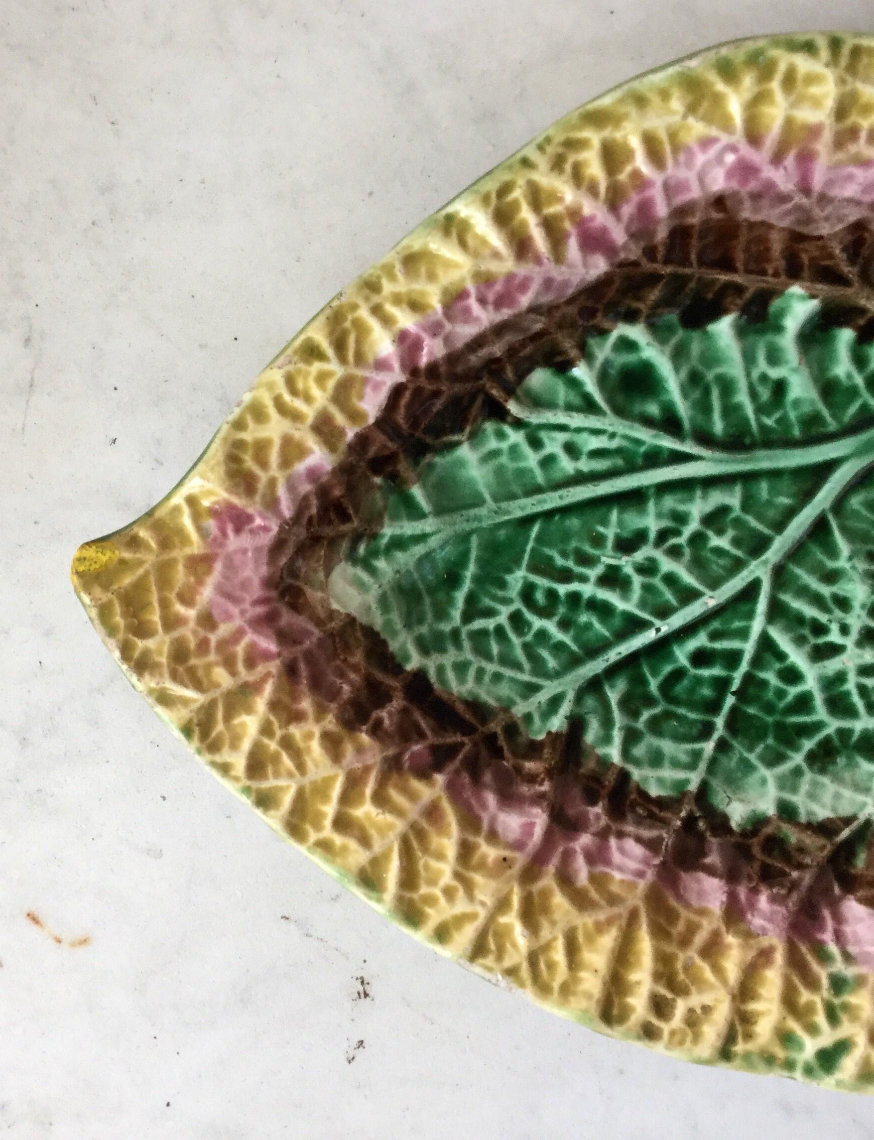 Country English Large Majolica Begonia Leaf, circa 1880
