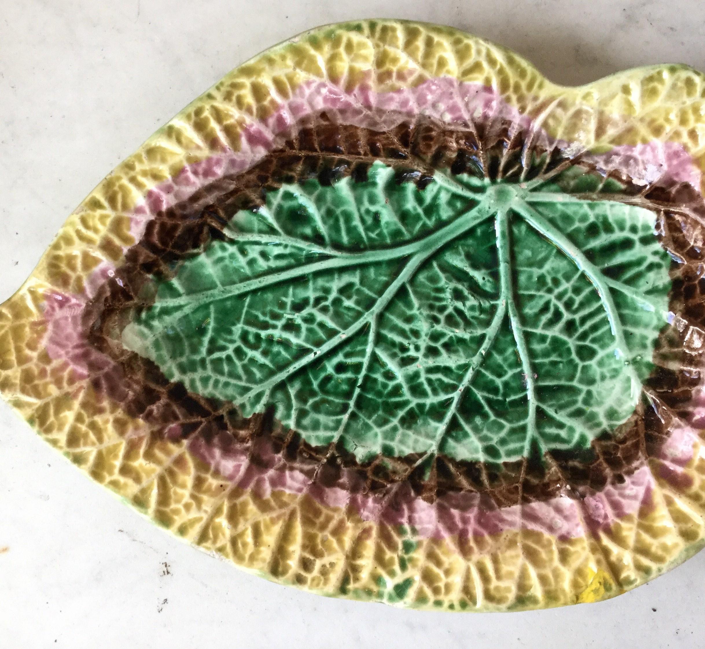 English Large Majolica Begonia Leaf, circa 1880 In Good Condition In Austin, TX
