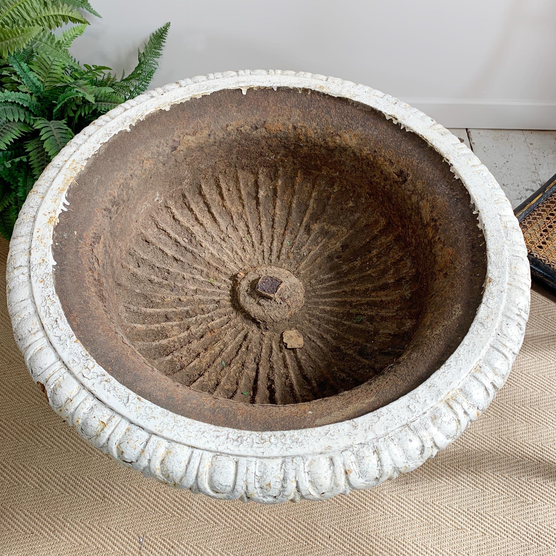 19th Century Large White Victorian Cast Iron Tazza Urn, 19th C For Sale