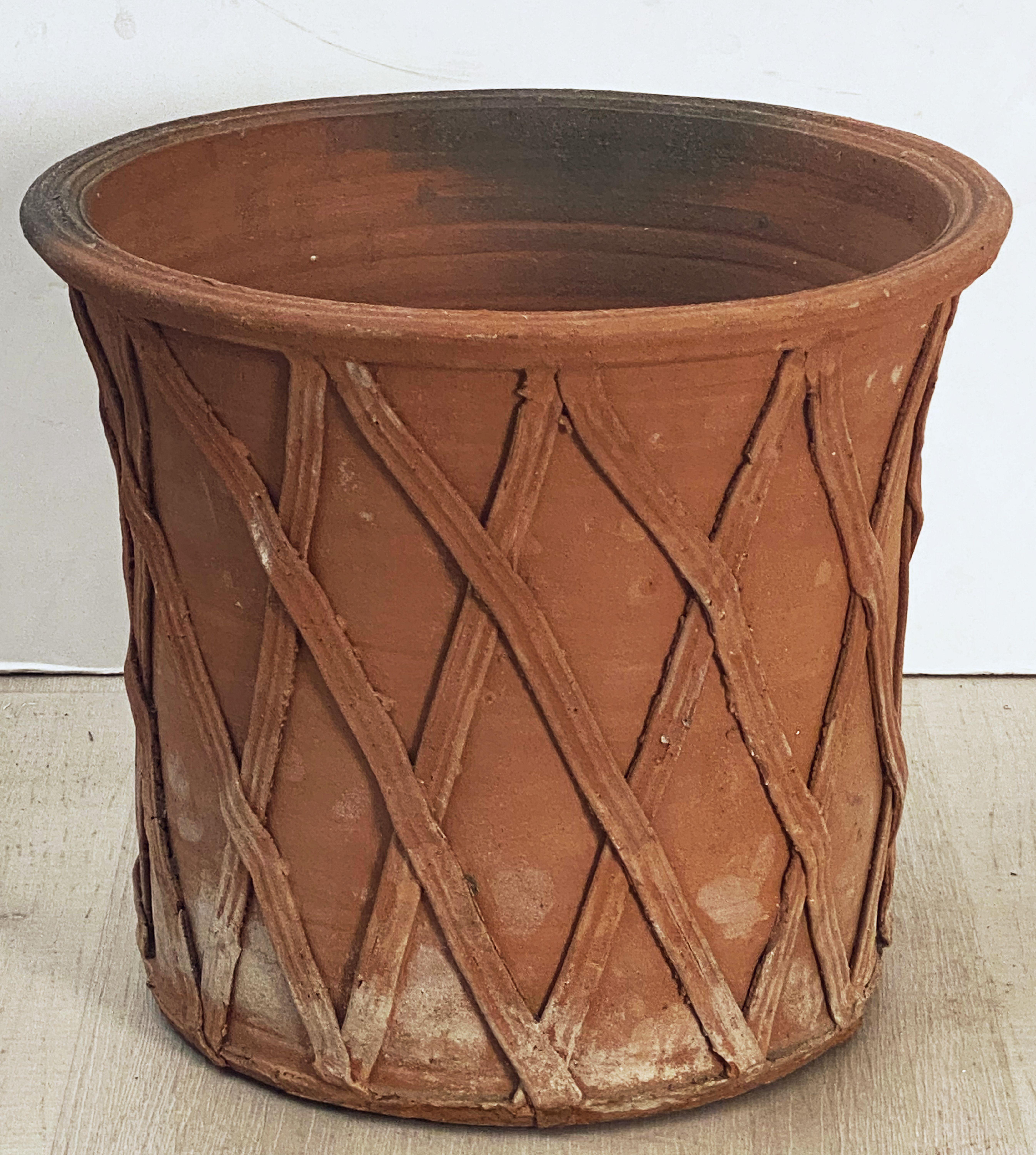 English Lattice Pattern Garden Planter of Terracotta 4