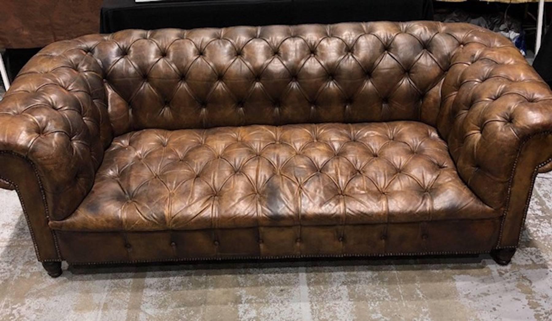 English leather Chesterfield rolled arm sofa, great size and scale, gently worn, very comfortable, raised on turned mahogany feet.