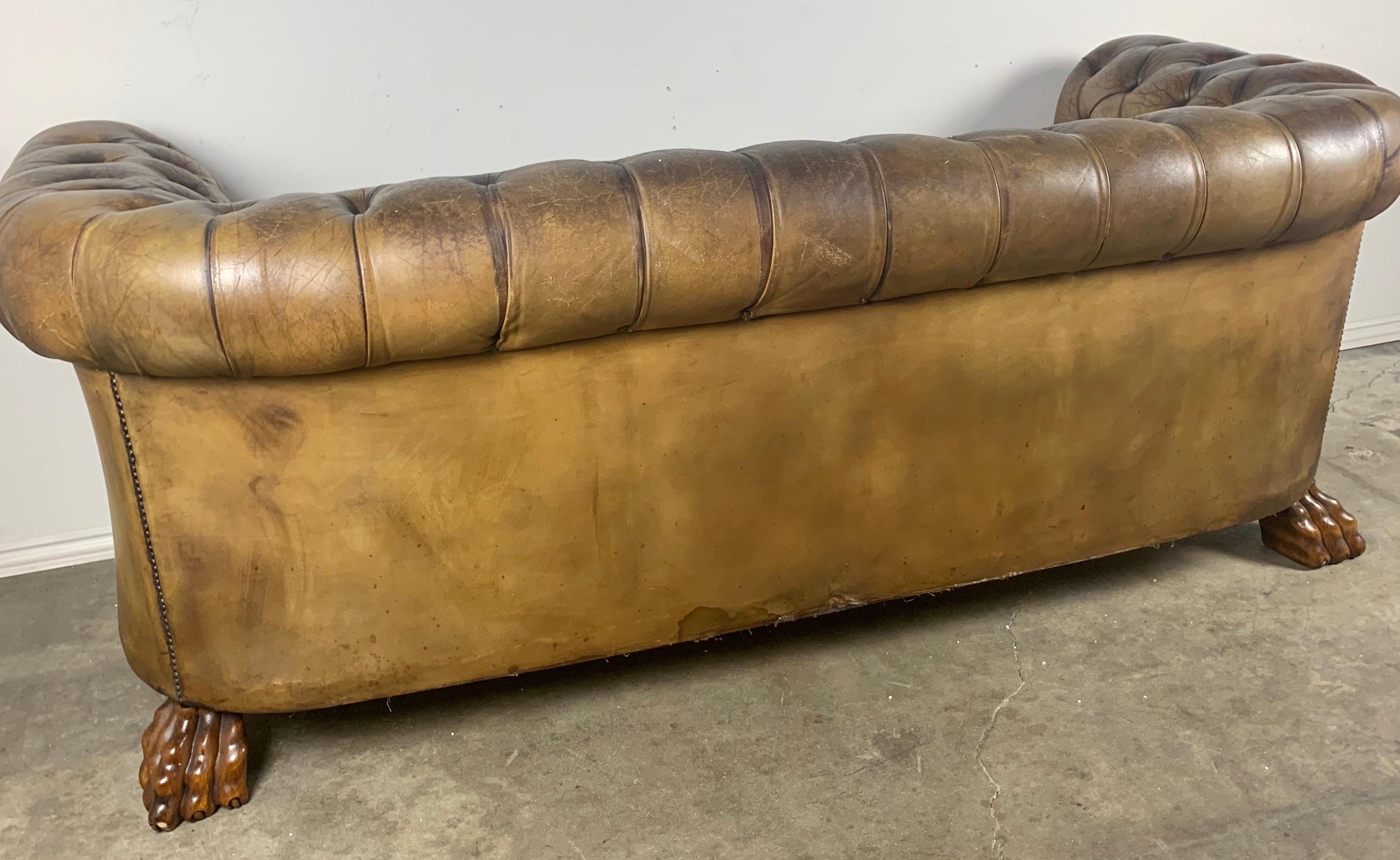 English Leather Tufted Chesterfield Sofa, circa 1900s 3