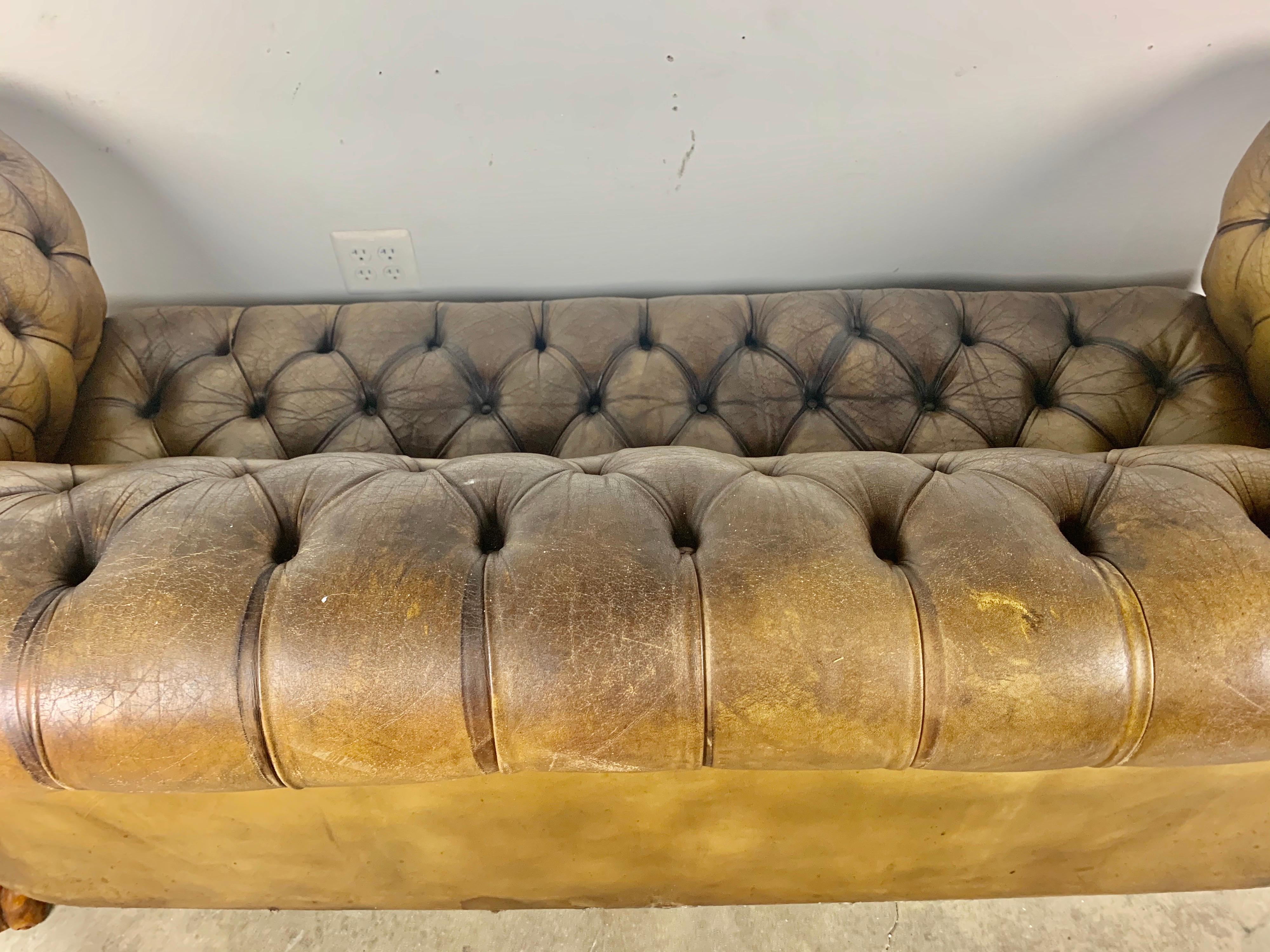 English Leather Tufted Chesterfield Sofa, circa 1900s 4