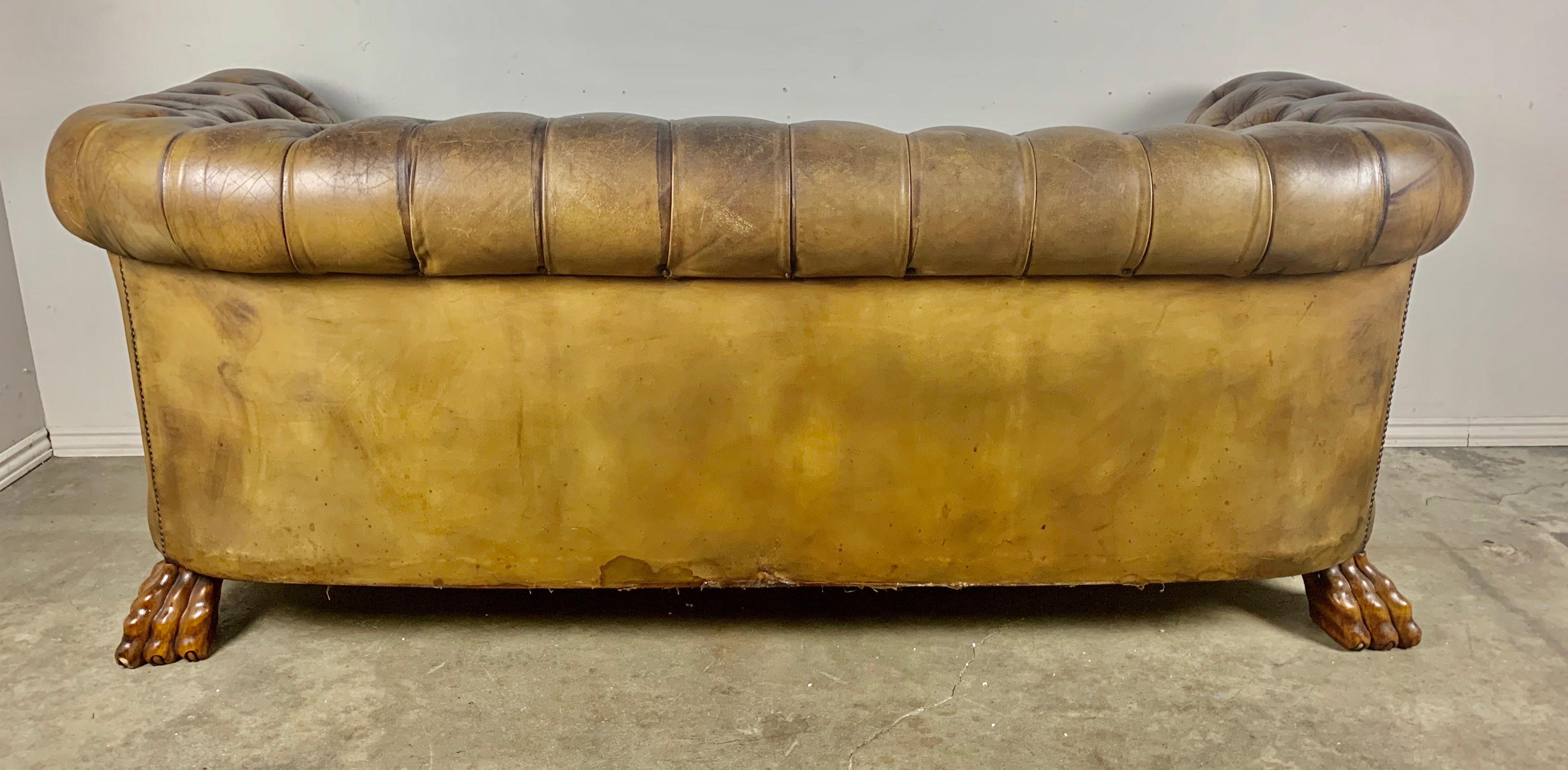 English Leather Tufted Chesterfield Sofa, circa 1900s 2
