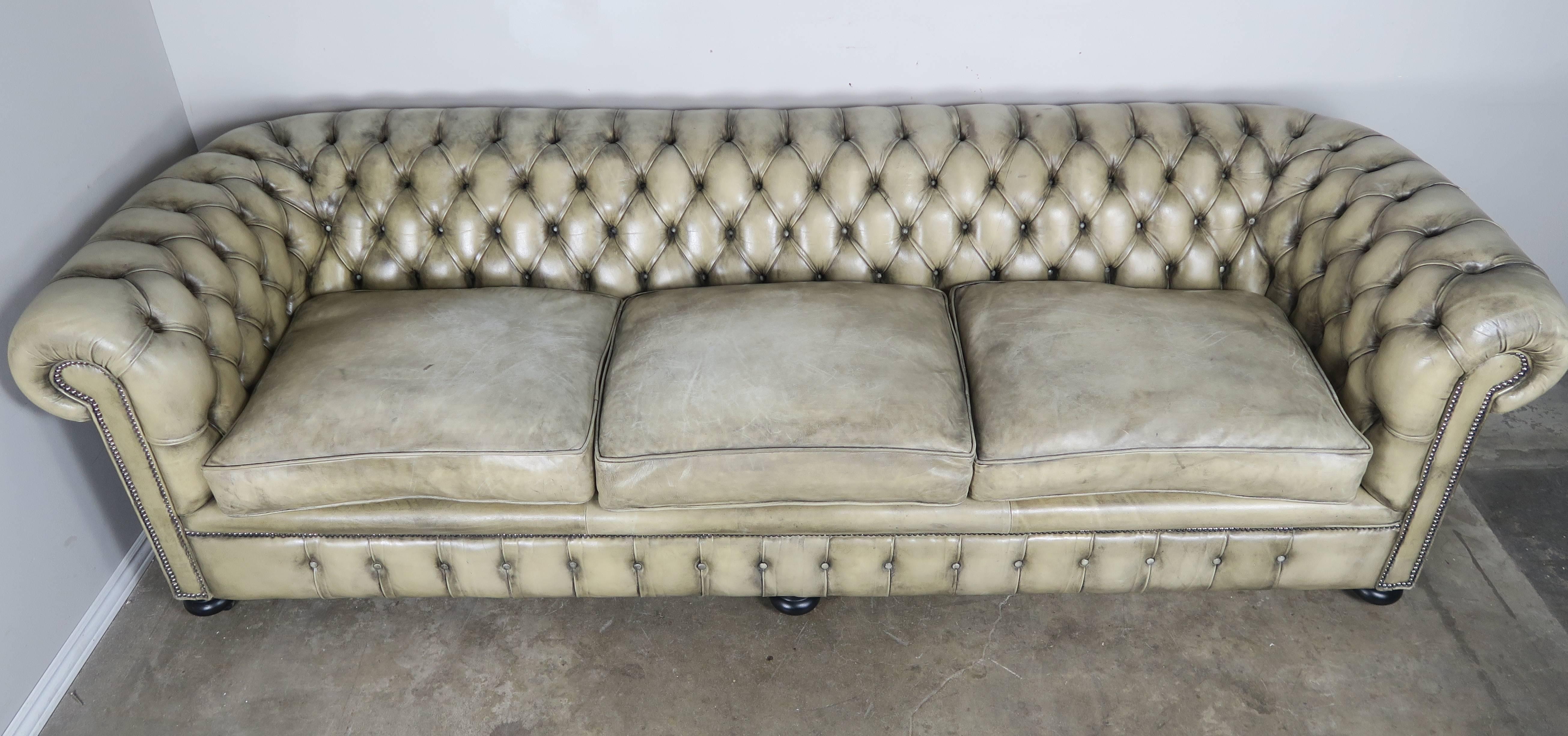 Tufted English Leather Chesterfield Sofa in perfectly worn leather, measure: 9' long. The leather has faded into a beautiful color and is in pristine condition. Tight back with three loose seat cushions. Nailhead trim detail throughout. The sofa