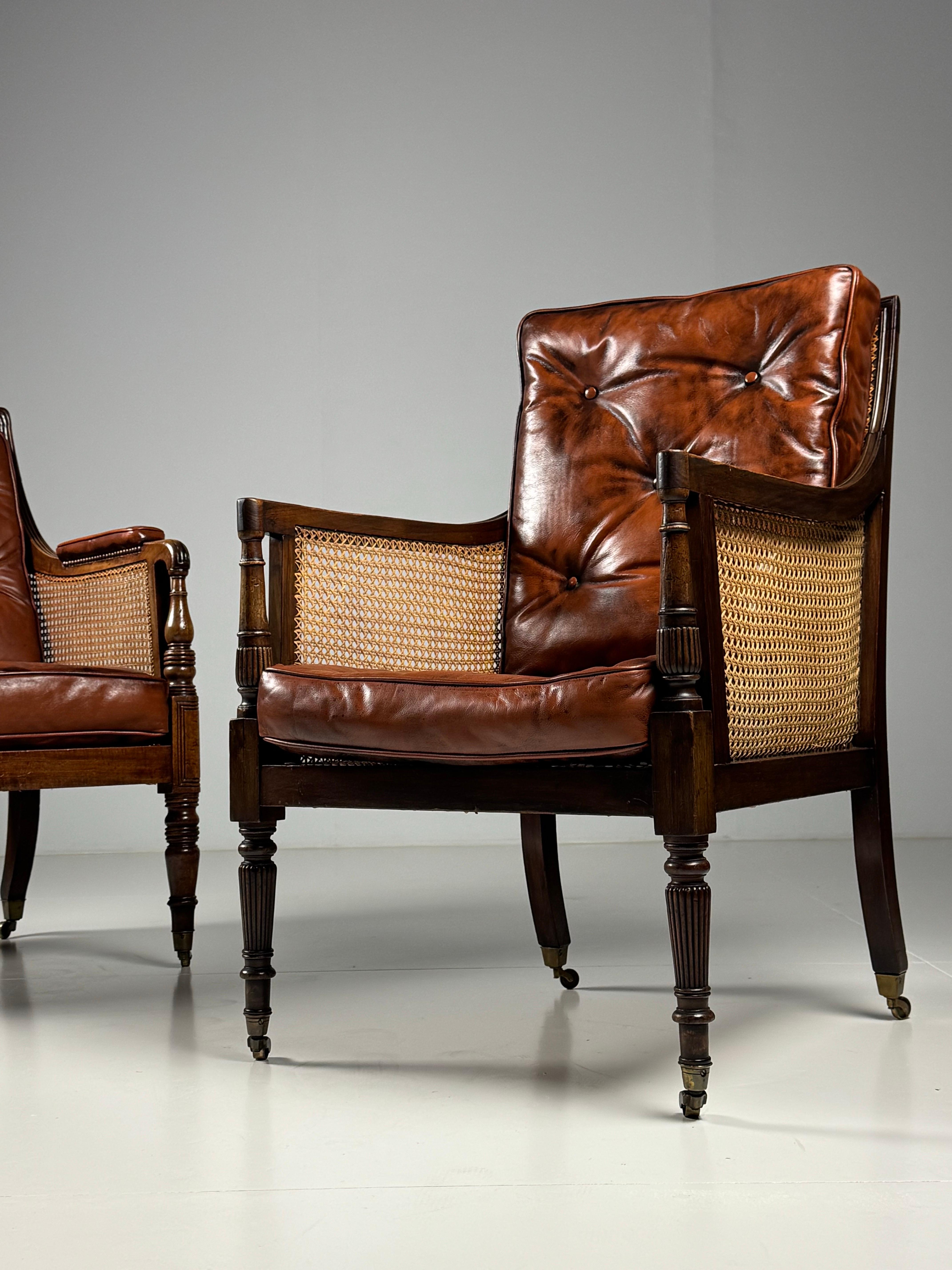 English Library Bergère 1825 Mahogany For Sale 9