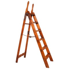 Antique English Library Ladder in Wood and Wrought Iron