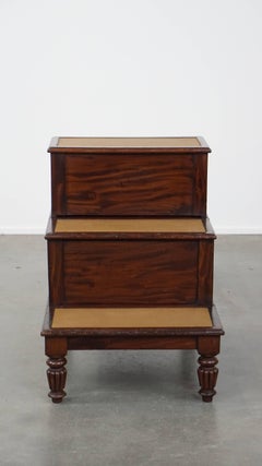 Escabeau de bibliothèque anglais / commodité de chambre du milieu à la fin du 19e siècle.