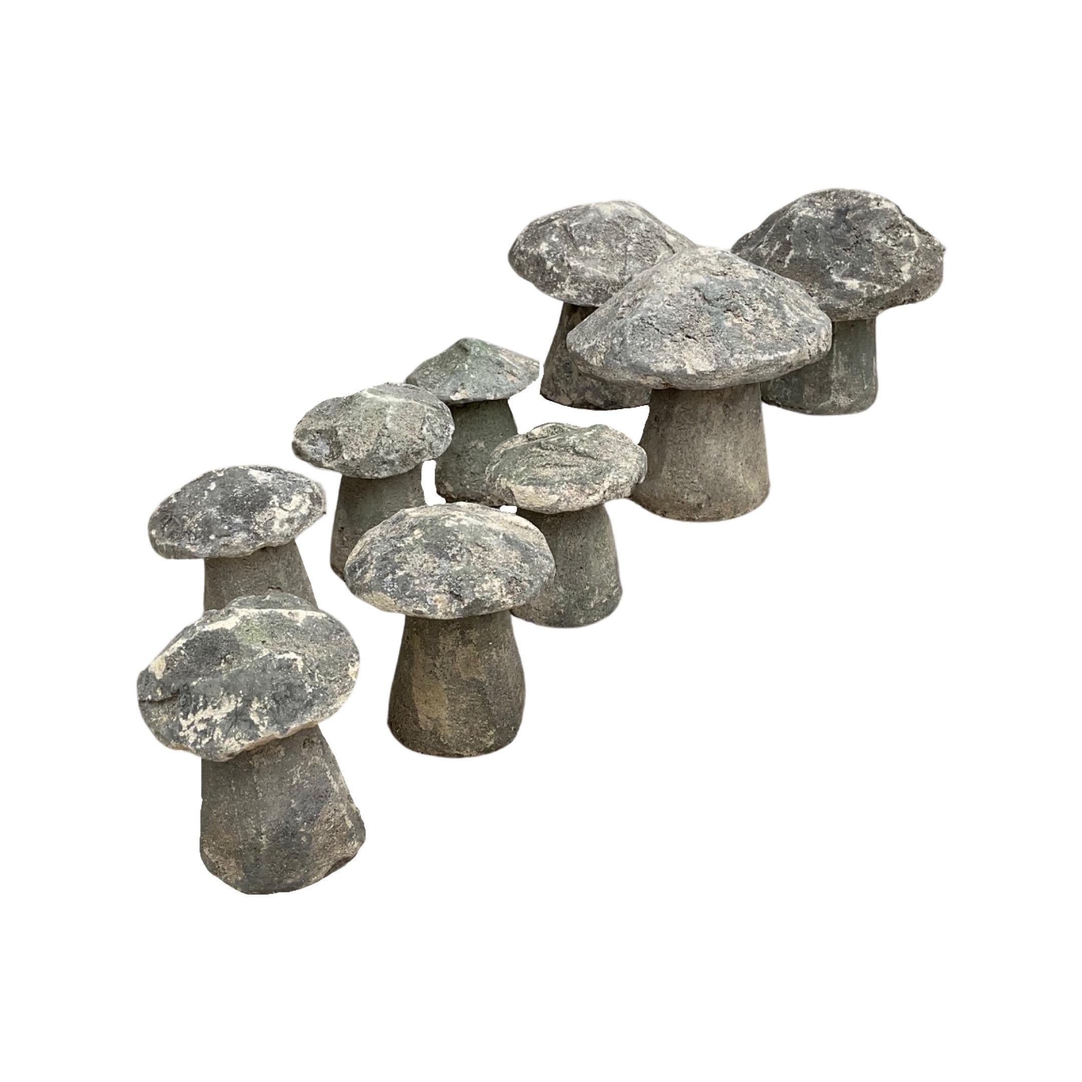 british mushroom cut