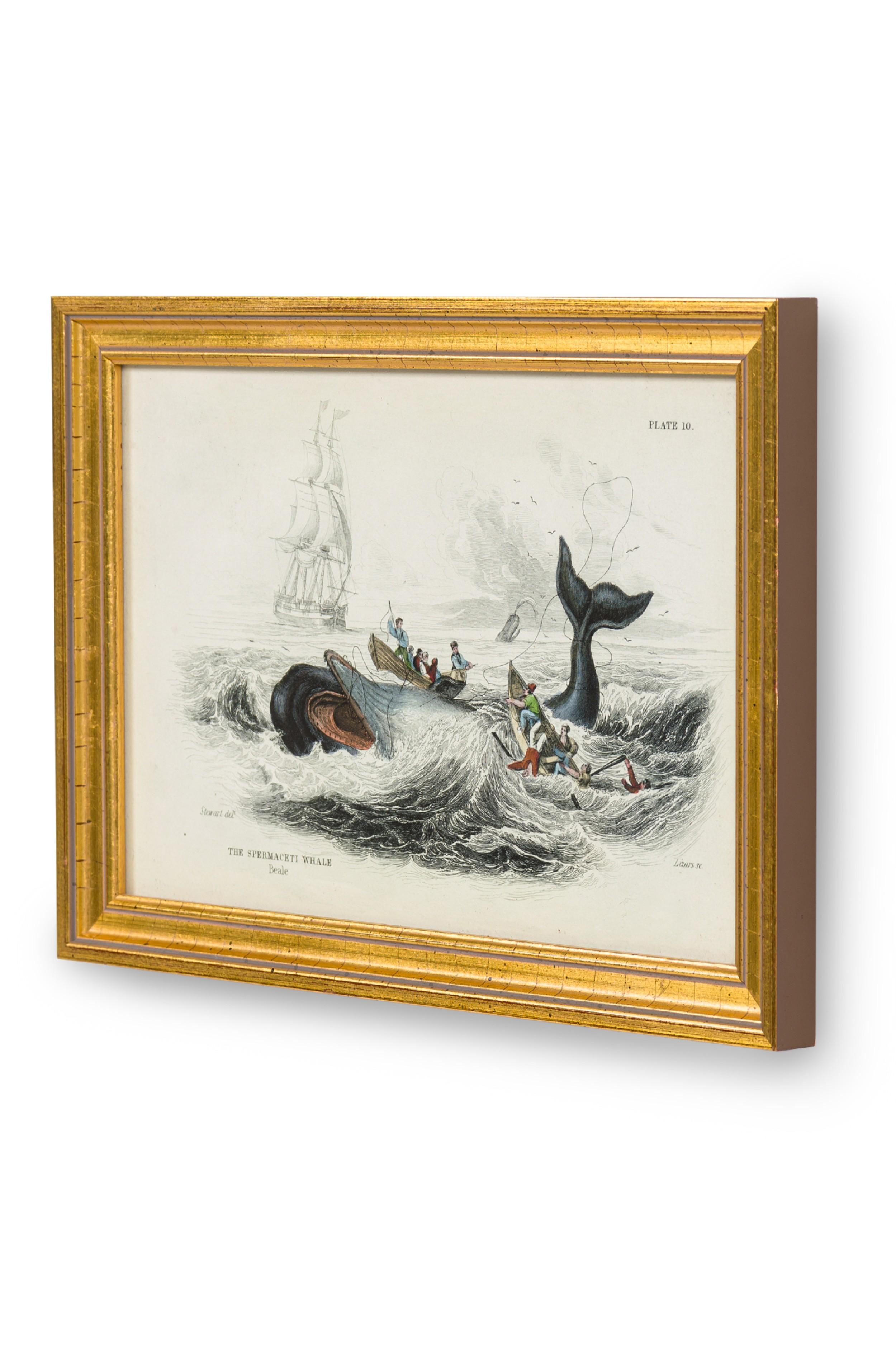 Englische (19. Jahrhundert) goldgerahmte Lithografie mit dem Titel \