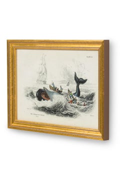 English Lithograph Print of Hunters Attacking a Whale