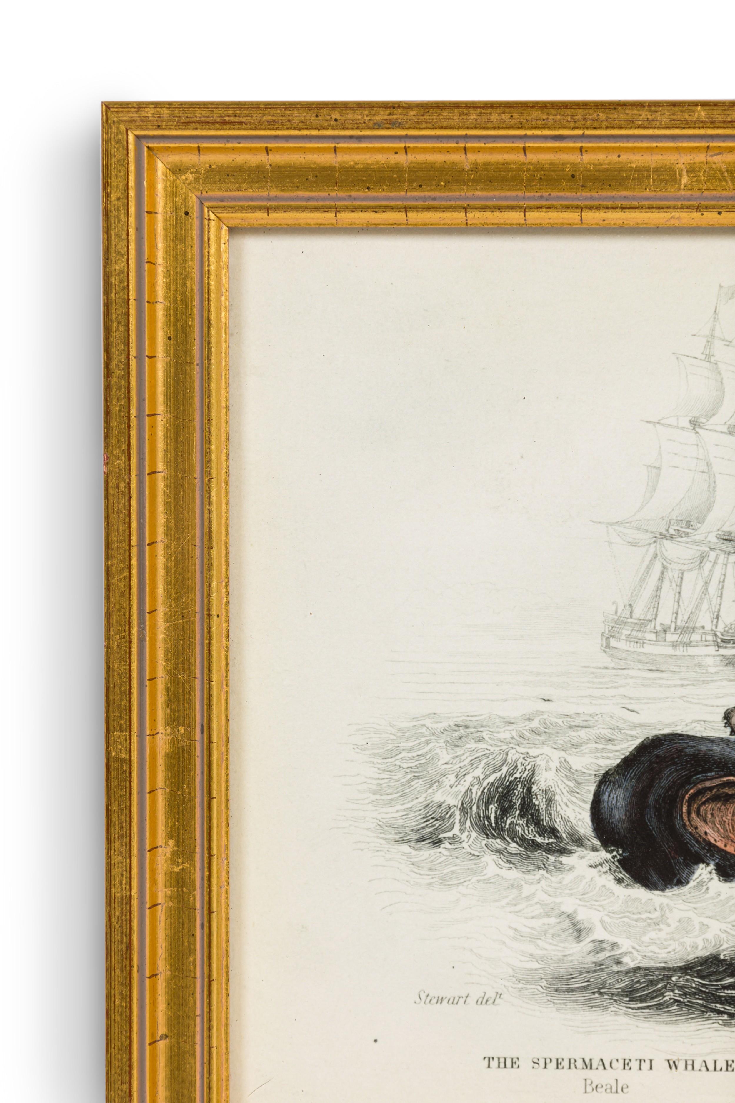 English Lithograph Print of Hunters Attacking a Whale (Viktorianisch) im Angebot